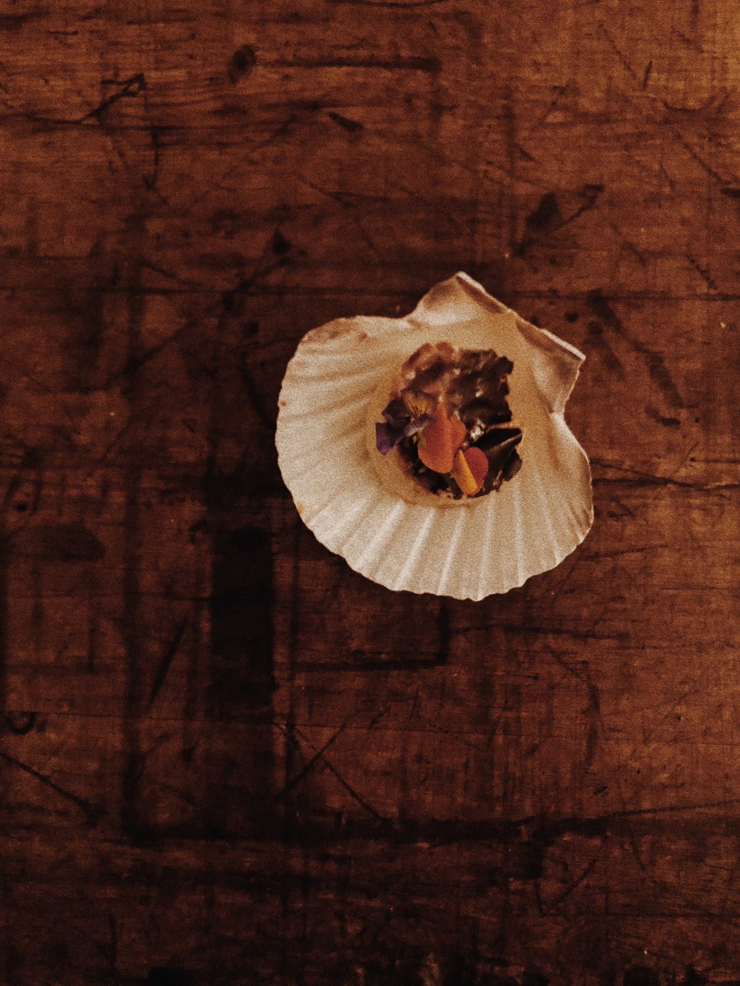 venusian-getaway-shell-flower-petals-ritual-offering.JPG