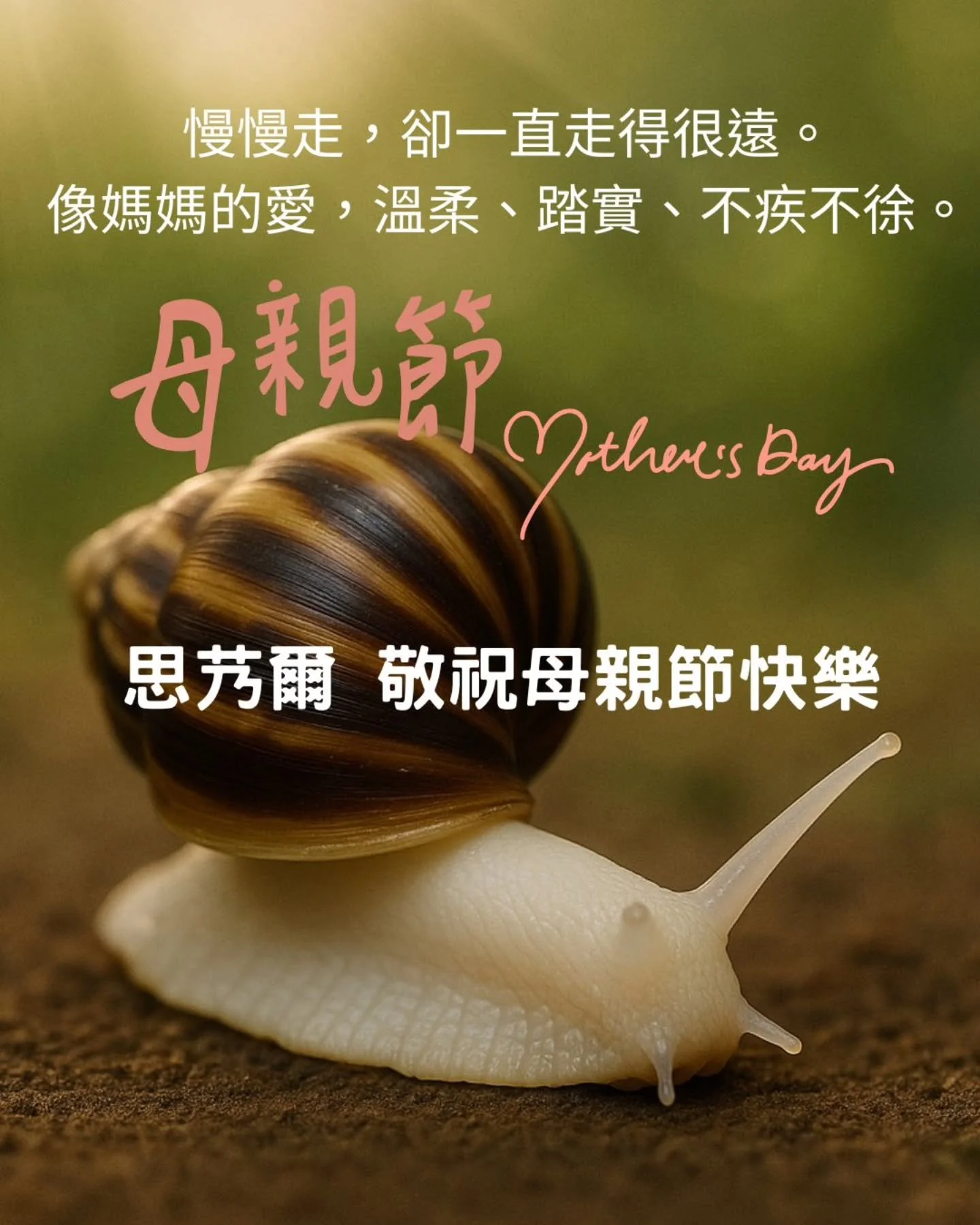 🌾 母親節｜緩慢而堅定的愛

有一種愛，不喧嘩、不催促，卻始終滋養著生命。如同金門白玉蝸牛，在時間裡緩慢前行，孕育出潔淨而強韌的力量。

思艿爾相信，真正深刻的養分來自等待，就像母親的愛&mdash;&mdash;無聲卻偉大，不為回報，只願我們平安成長。

我們以在地酒糟循環飼養白玉蝸牛，回應土地，也守護每一份靜默的愛。
向每一位「慢養」生命的人致敬&mdash;&mdash;
她們不為掌聲，只為你平安
她們像大地，在沉默中蘊含光亮。

思艿爾農牧科技，祝每一位母親，母親節快樂。願世界記得，真