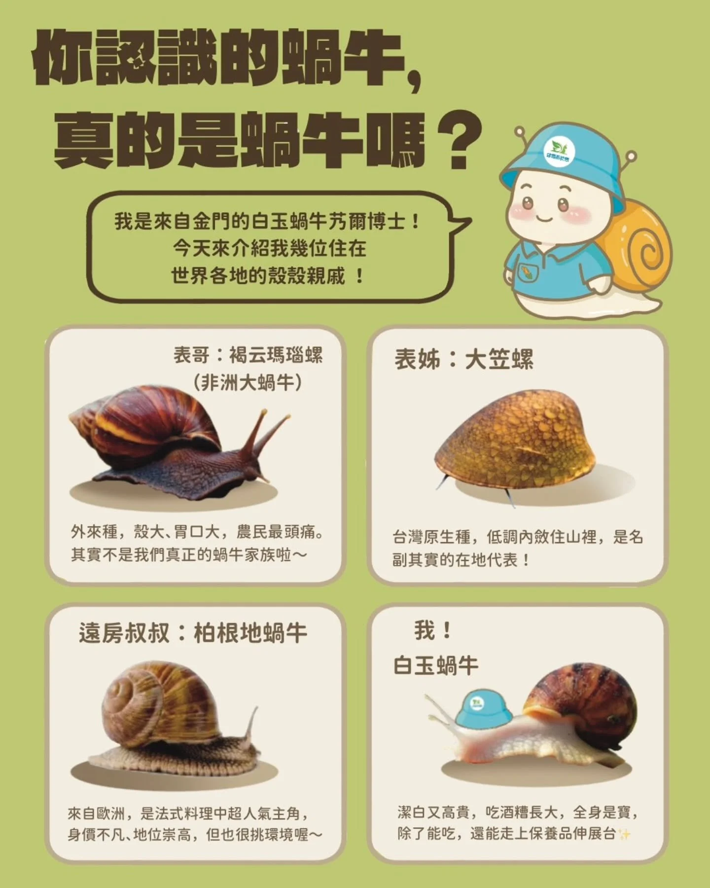󠀠
你認識的蝸牛，真的是蝸牛嗎？
󠀠
每次看到那種「會爬的有殼生物」，你是不是都叫它「蝸牛」？🐌
但艿爾博士說：我們這些殼殼家族，其實分得可細囉～
󠀠
👉 快來看看圖上哪隻才是真的蝸牛家族代表？
（留言猜猜哪隻不能吃、哪隻超愛出現在西餐）
󠀠
󠀠
#蝸牛冷知識 #思艿爾農牧科技
#金門白玉蝸牛
#特色食材介紹 #ESG品牌教育