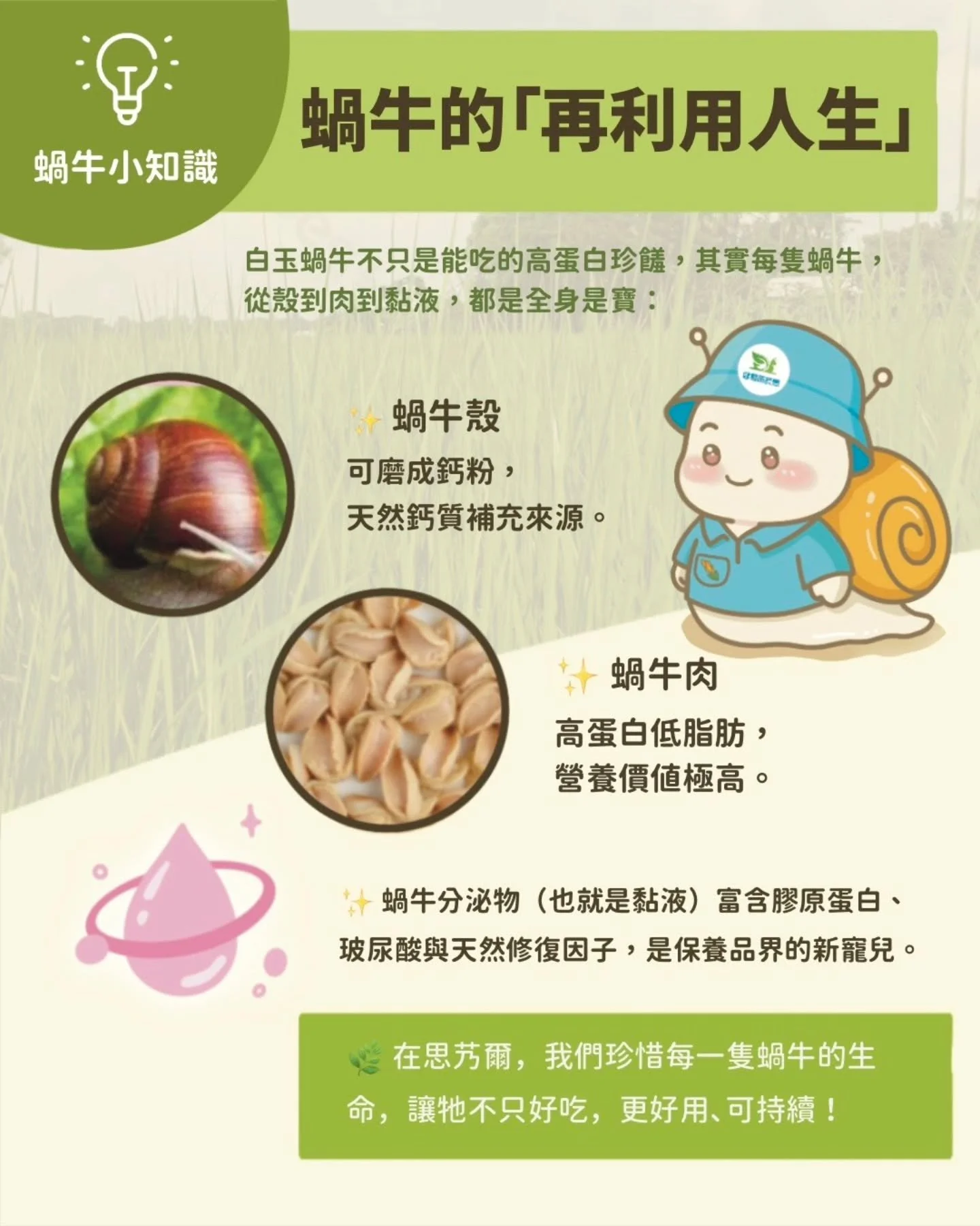 📢 艿爾博士小知識時間！

你知道我除了好吃，還可以很有用嗎？

我身上的三大法寶：

🐚 殼：變身天然鈣粉
🍽 肉：超營養，低脂高蛋白
💧 黏液：可以做面膜保養品，還富含膠原蛋白！

一隻蝸牛，多重任務！
吃得精緻、用得聰明，這就是我的「再利用人生」～🐌✨
󠀠

#艿爾博士科普中 #可食可養可保養
#金門白玉蝸牛 #永續食材新選擇