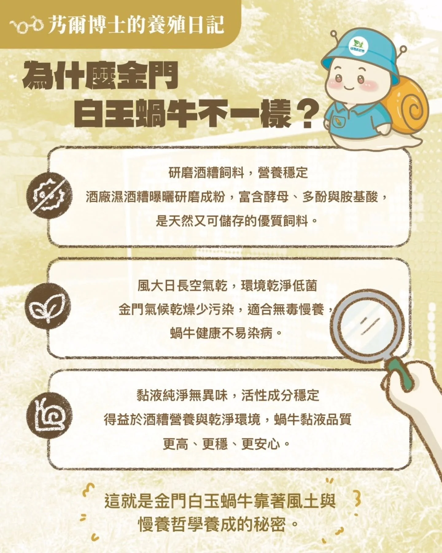 󠀠
󠀠
▍艿爾博士的養殖日記｜為什麼金門白玉蝸牛不一樣？

哈囉，我是艿爾博士 🥼

常有人問：
「博士，你們的白玉蝸牛吃酒糟，有什麼不同？」

其實台灣多數白玉蝸牛吃的是蔬菜葉、瓜果、穀物，或酵母菌、蔬果發酵配方。

但我們在金門，堅持使用經過曝曬研磨的高粱酒糟，富含酵母、多酚與胺基酸，營養穩定、天然可儲存。

搭配乾淨、控溫、低密度的慢養方式，
才能讓蝸牛慢慢長大、黏液品質更穩定。

🌱 差異在哪裡？
🐌 研磨酒糟優質飼料，營養穩定、天然可保存
🍃 風大日長空氣乾，環境清潔、無汙