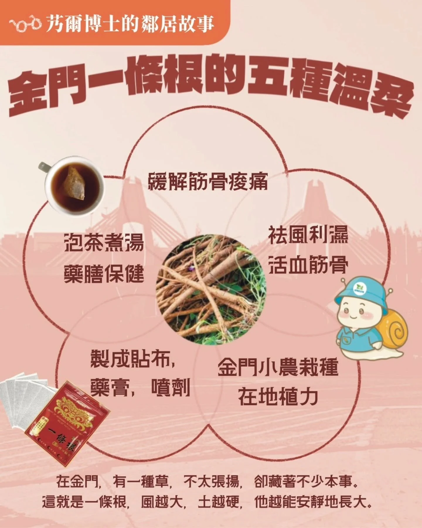 󠀠
▍艿爾博士的鄰居故事｜我家隔壁的草，長得很會顧人

哈囉，我是艿爾博士 🥼

如果你問我，什麼是金門最有韌性的植物？
我會說，是那位住在我家隔壁、每天默默長大的朋友&mdash;&mdash;一條根。

他不需要太多照顧，靠太陽、靠土壤、靠時間，扎下來，就再也拔不動了。
金門人常說：「一條根不是草，是會顧人的藥。」

無論泡茶、煮湯還是外用貼布，
它總是靜靜地，幫你暖到骨頭裡。

🌱 好藥材，需要時間、土地與耐心。

這就是一條根，在金門土裡靜靜長出的力量。
󠀠
󠀠
#艿爾博士 #