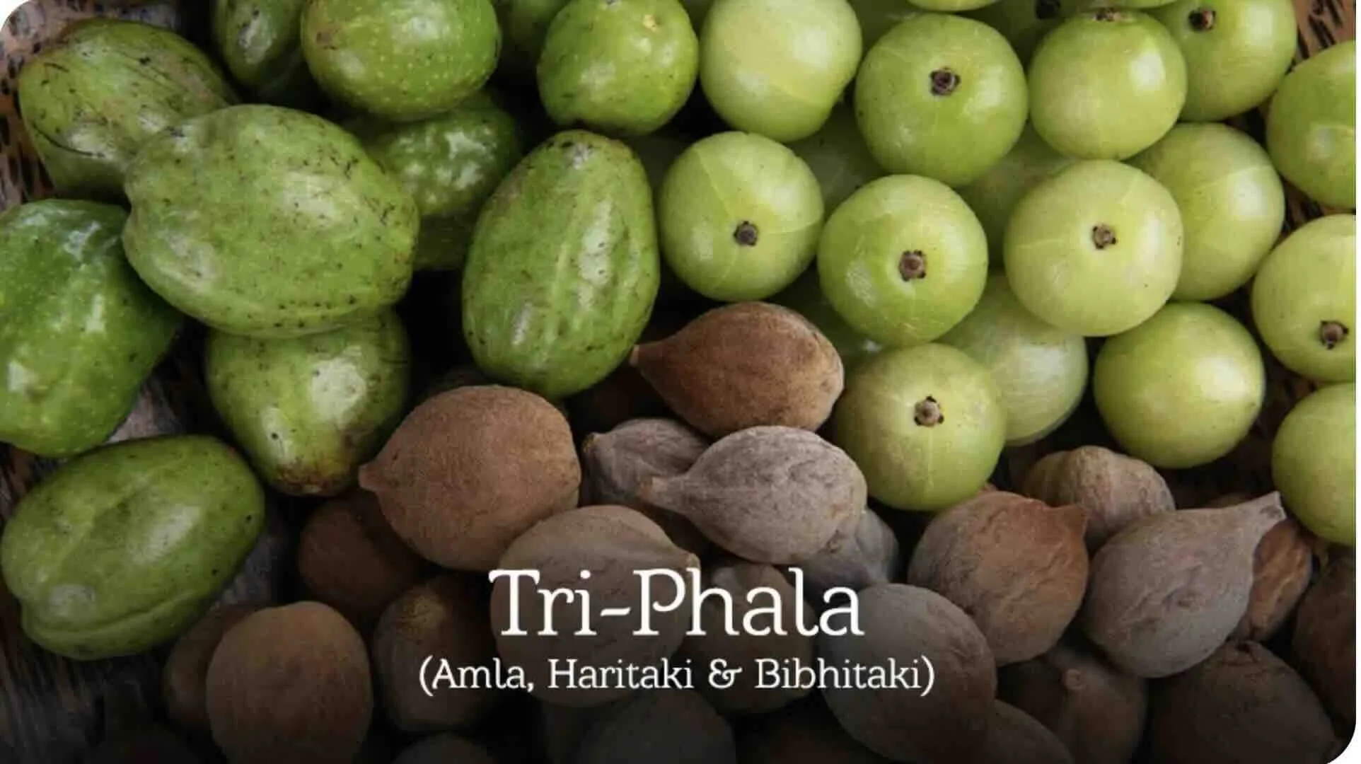 Triphala - Three Fruits