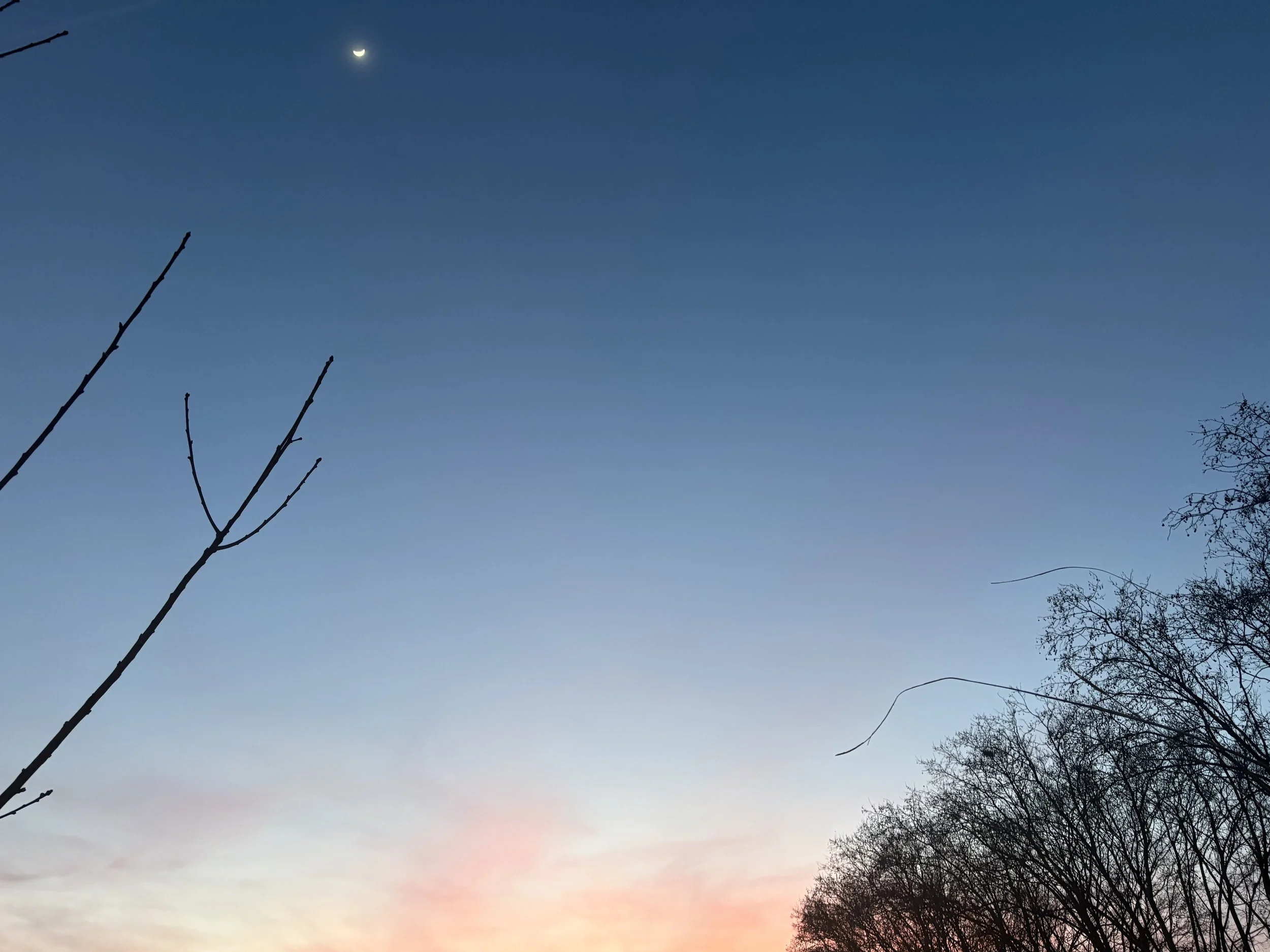 ¿Por qué me despierto entre las 2 y las 4 de la madrugada? Visión Ayurvédica