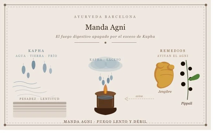 Cuando el cuerpo va despacio: Kapha y la digestión