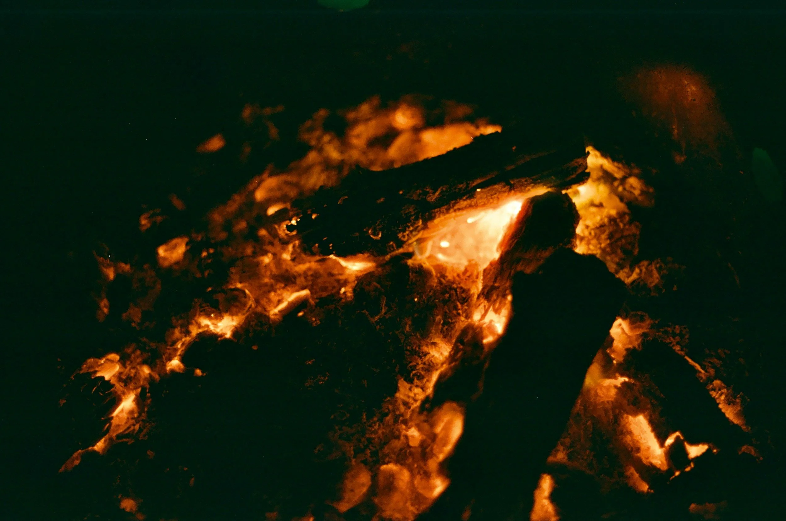 El fuego digestivo en el Ayurveda: los cuatro tipos de Agni
