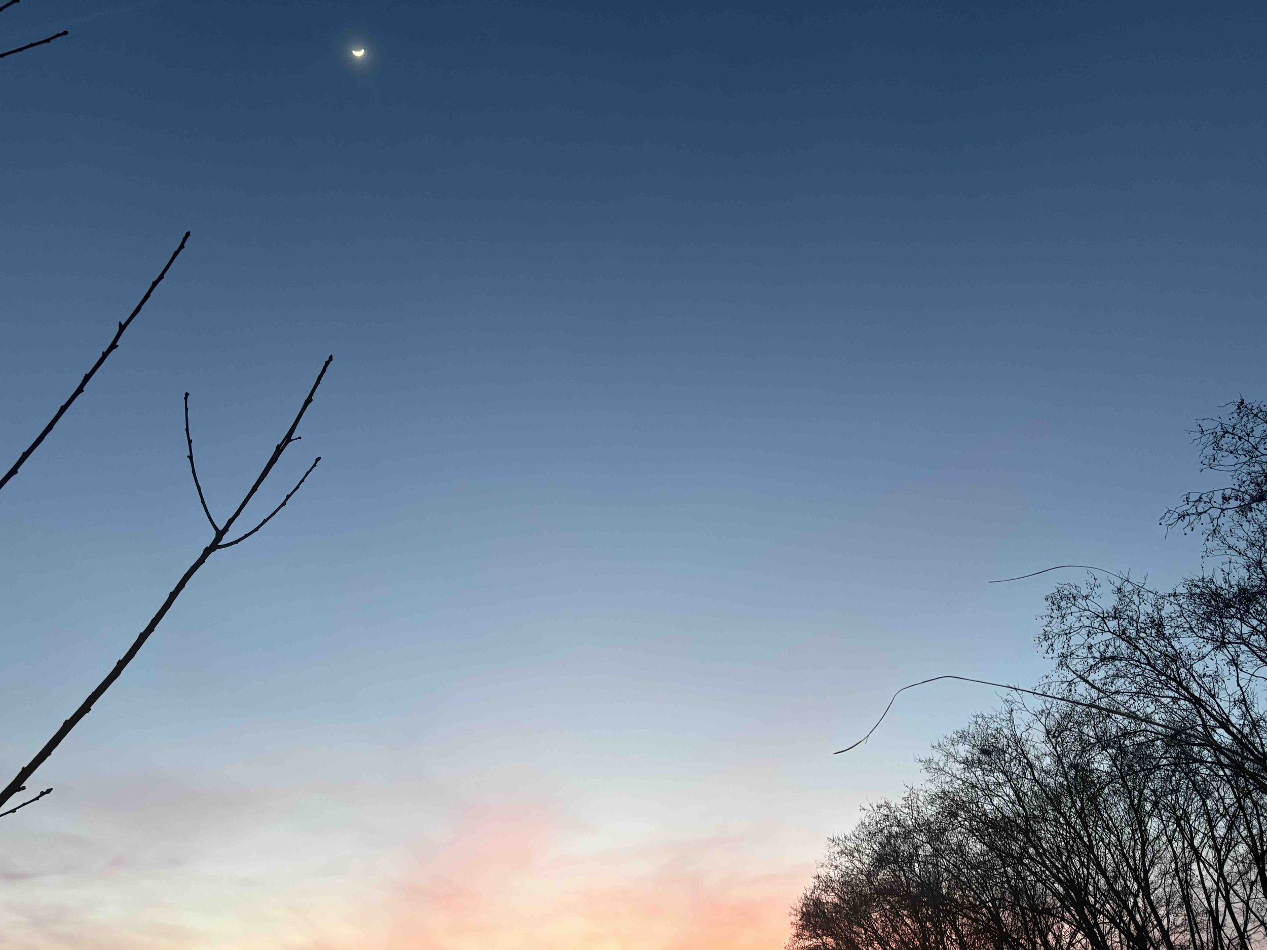 Cielo nocturno con luna creciente al amanecer, relacionado con despertarse entre las 2 y 4 am según Ayurveda.