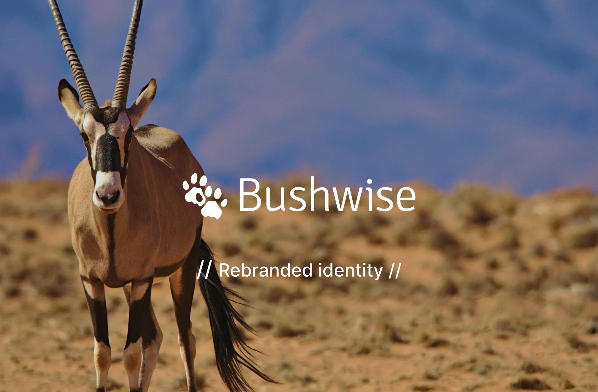 Bushwise | Rebrand