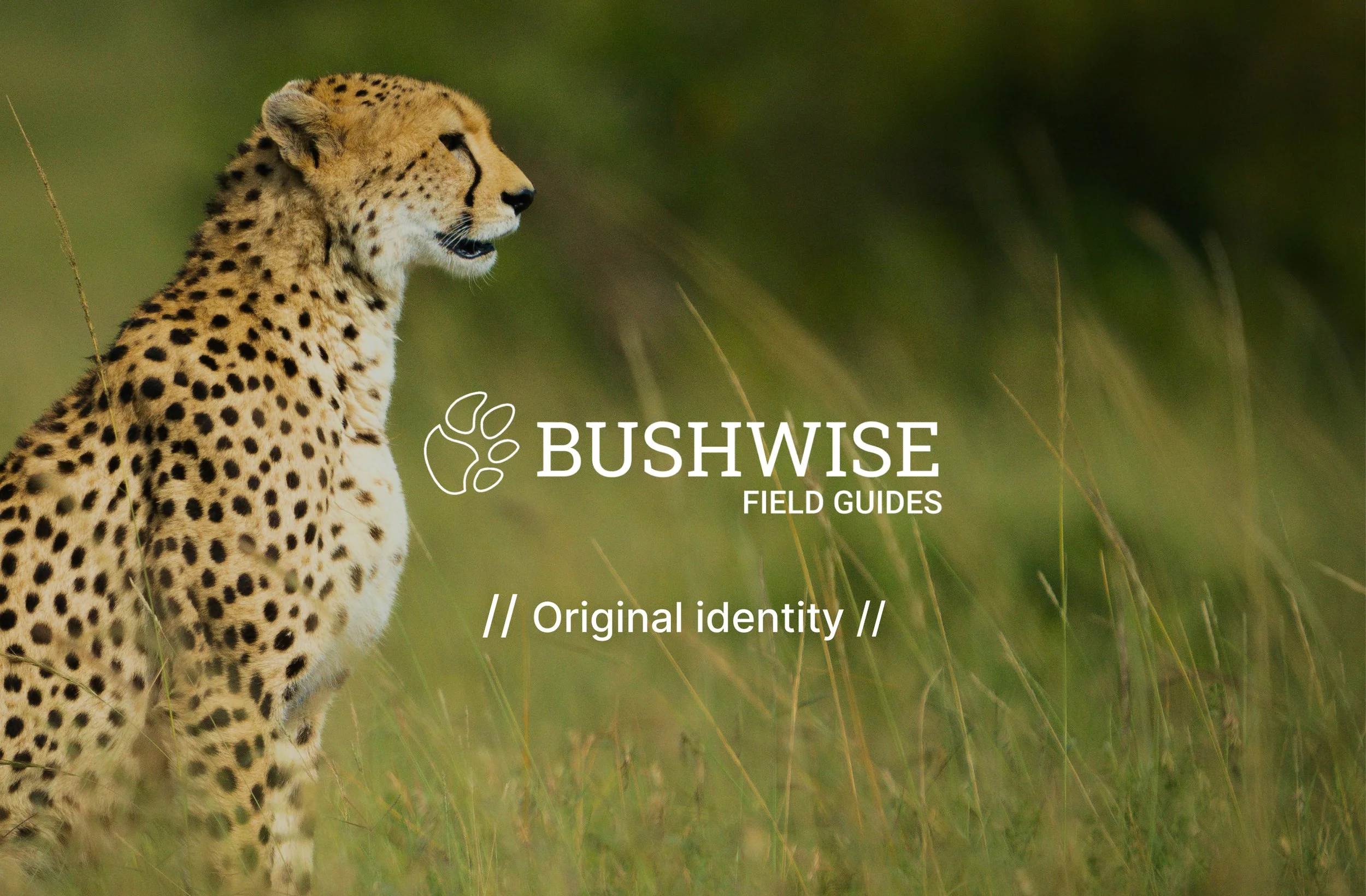Bushwise | Original