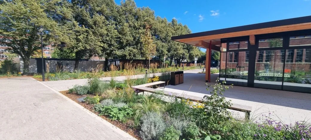 20240913_115722-1040x468 (1).jpg