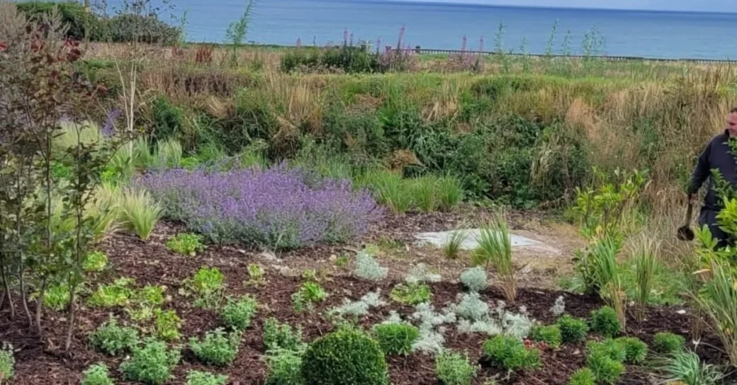 456515877_1098889475084843_321373041155883115_n-1040x544 (1).jpg