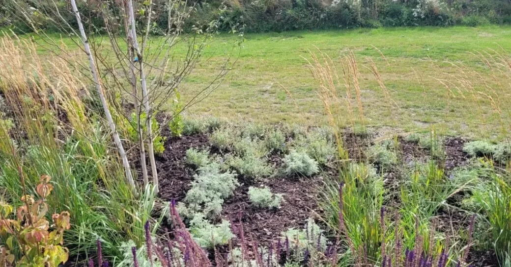 456566618_1098889491751508_1354884787239024822_n-1040x545 (1).jpg