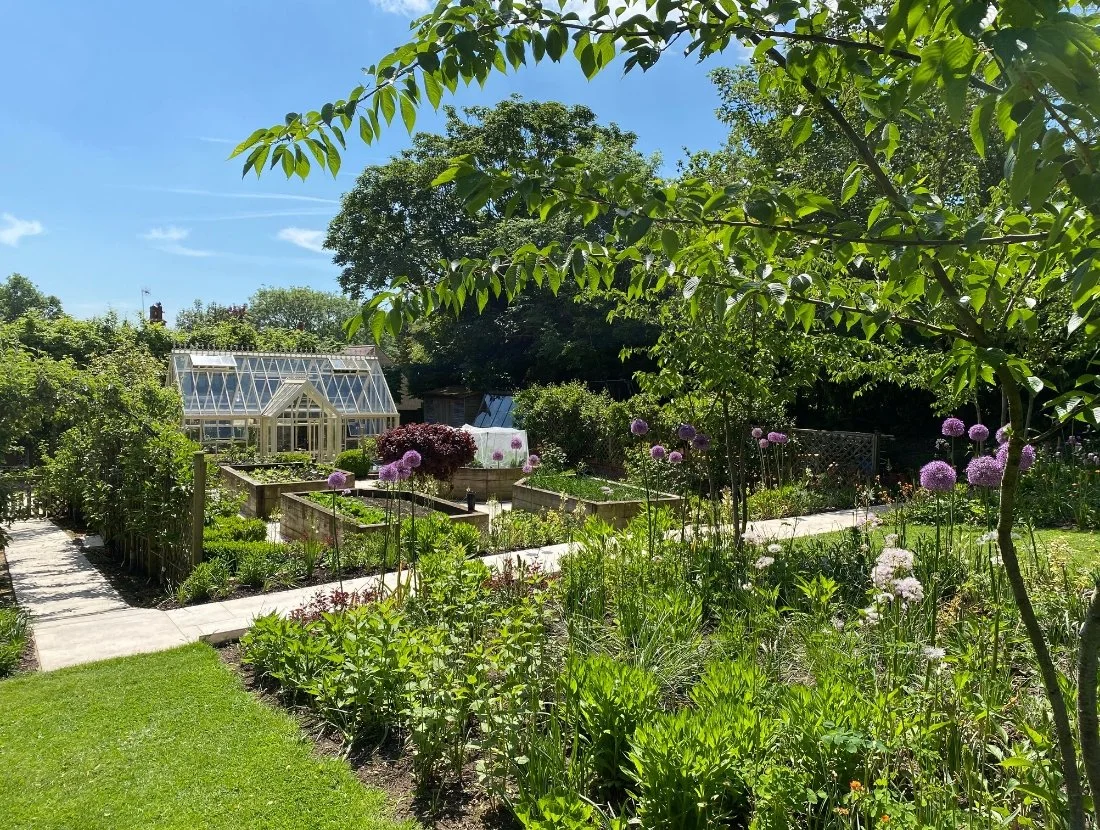 A lush garden with various flowering plants and a greenhouse in the background on a sunny day.