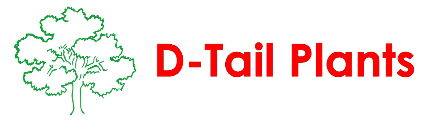 D-Tails