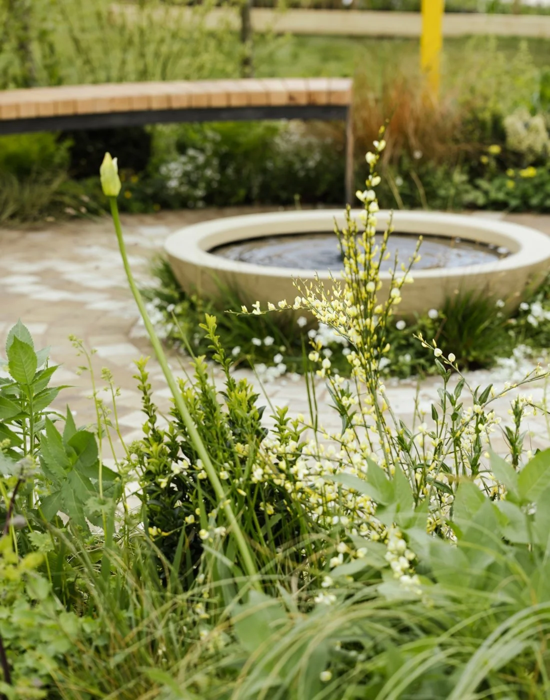 A garden with white flowering plants in the foreground, a round water fountain in the middle, and a wooden bridge in the background.