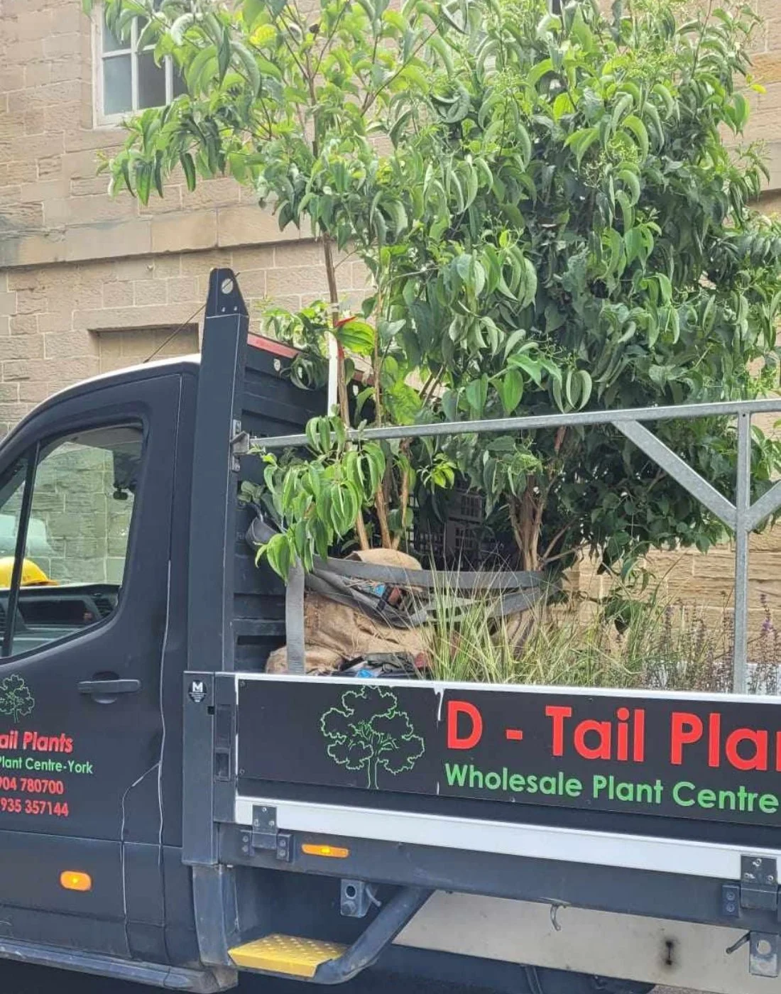 A flatbed truck carrying potted trees with green leaves, parked in front of a brick building.