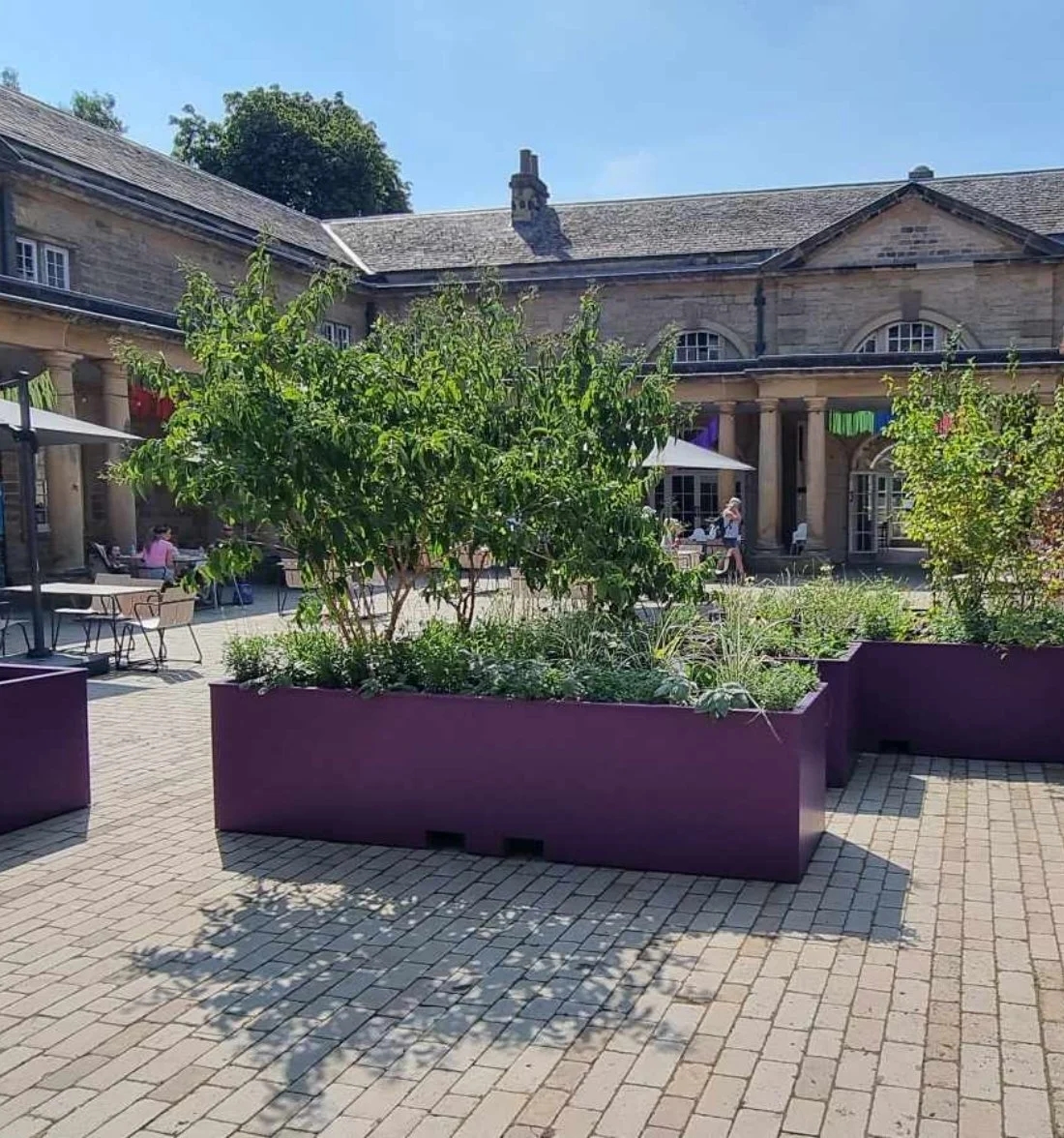 Courtyard with large purple planters and leafy green plants, surrounded by an old stone building with a patio area, people sitting and walking, under a clear blue sky.