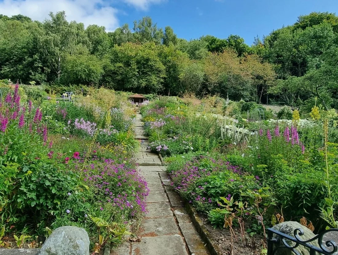 A stone pathway leads through a lush, colorful garden with a variety of blooming flowers and green plants, with trees in the background and a blue sky overhead.