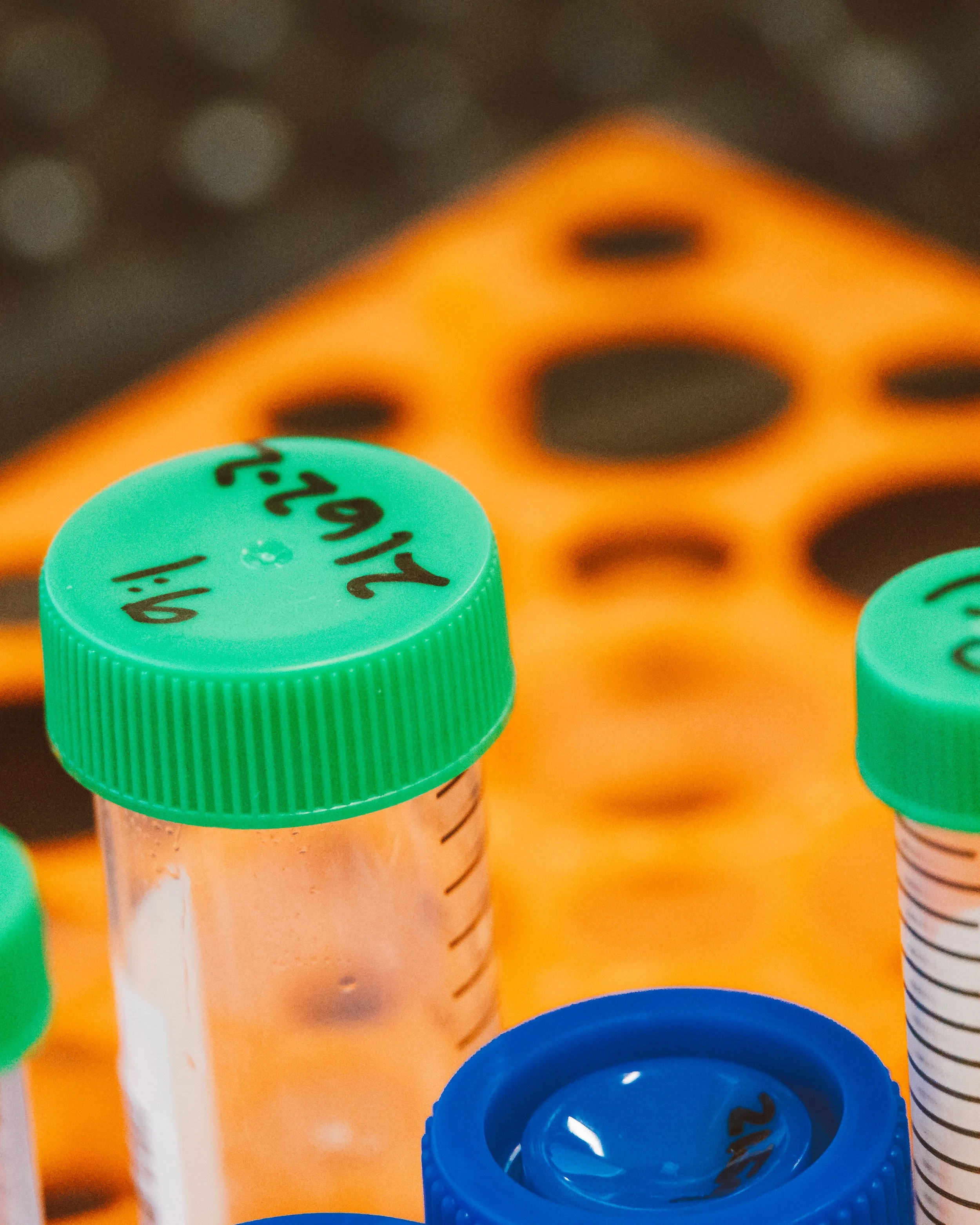 Case Study: Structuring a Bioengineering EB-2 NIW Business Plan Around a Clear National-Interest Argument