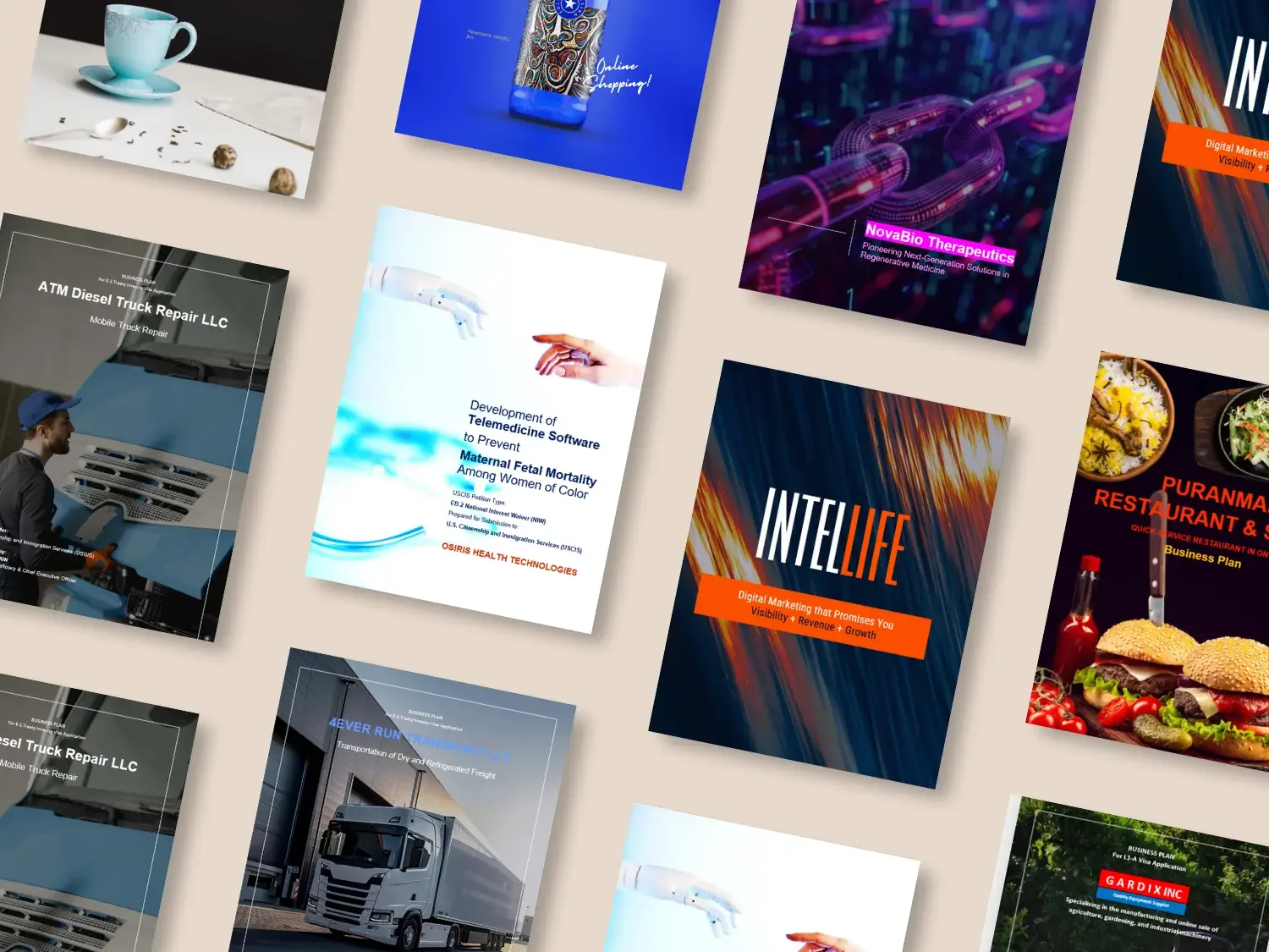 Banner image displaying cover pages of business plans developed by robinomics consulting