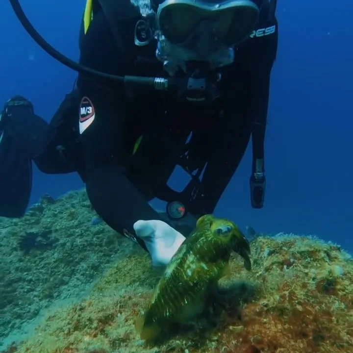CAN_diving_lanzarote.jpg