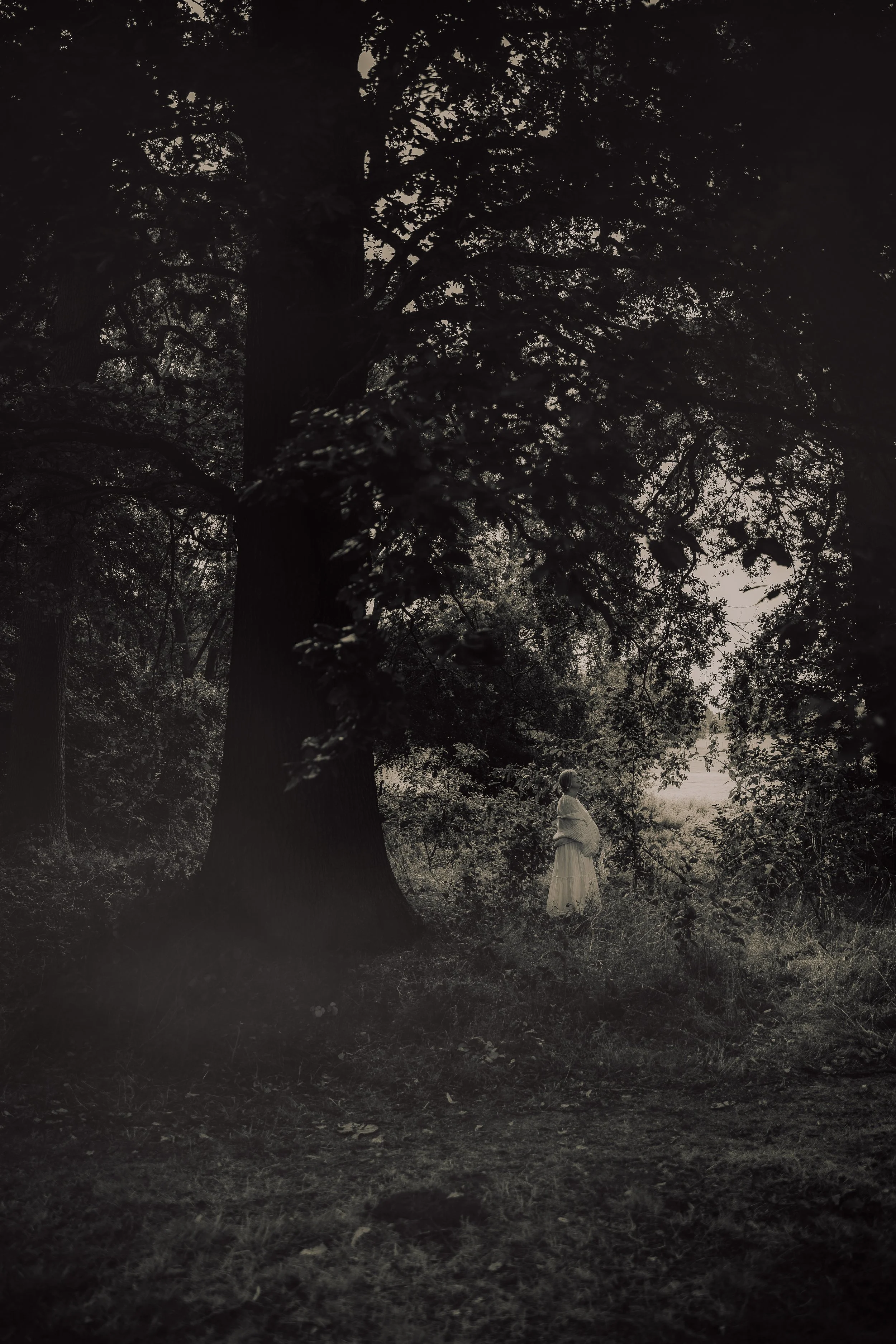 G44A5311-Edit.jpg