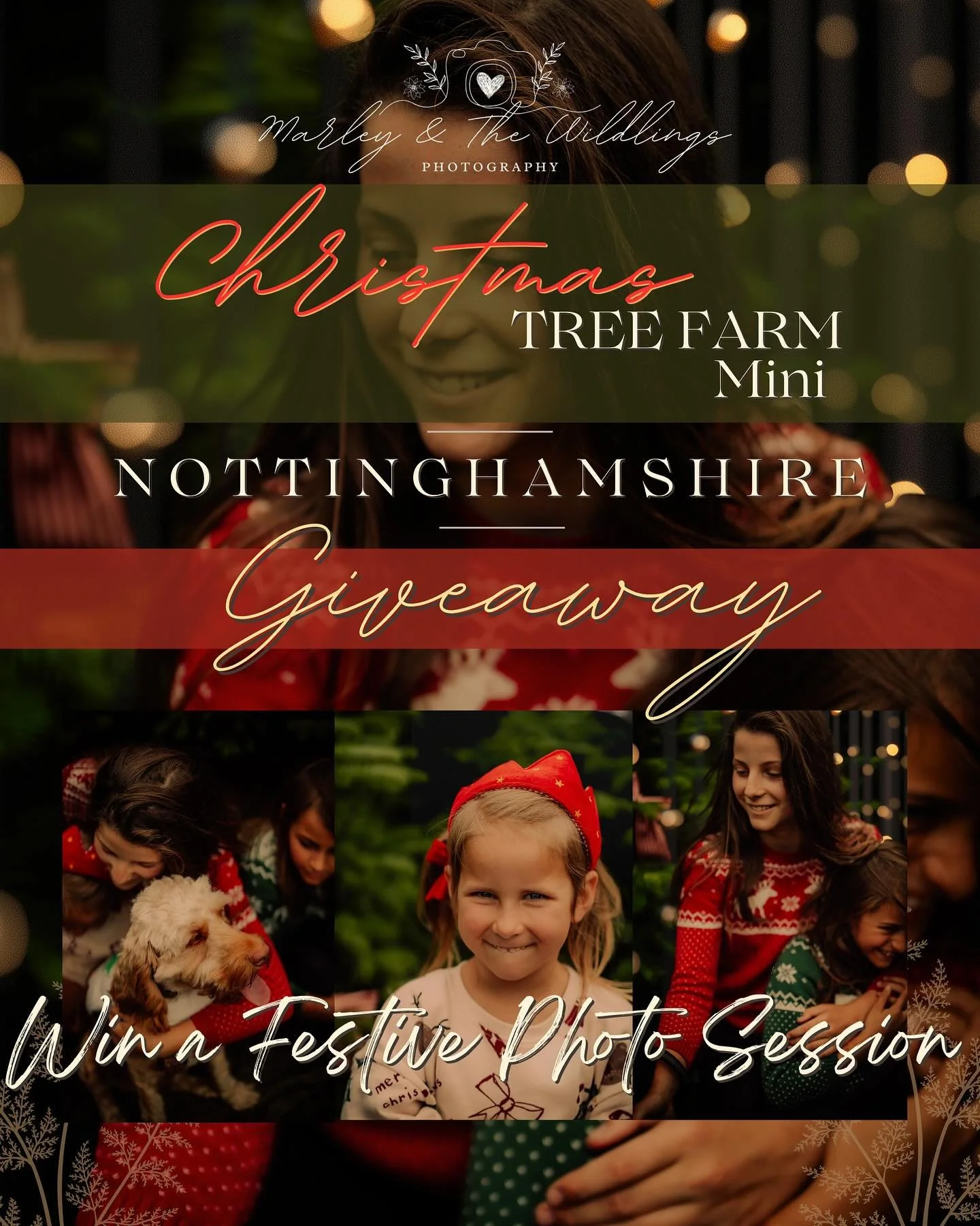 🎄✨ CHRISTMAS MINI SHOOT GIVEAWAY! ✨🎄

To say a huge thank you for all the incredible love and support this year, I&rsquo;m giving one lucky winner a Christmas Mini Photo Session at a gorgeous Christmas tree farm!

The winner will receive:
A 30 minu