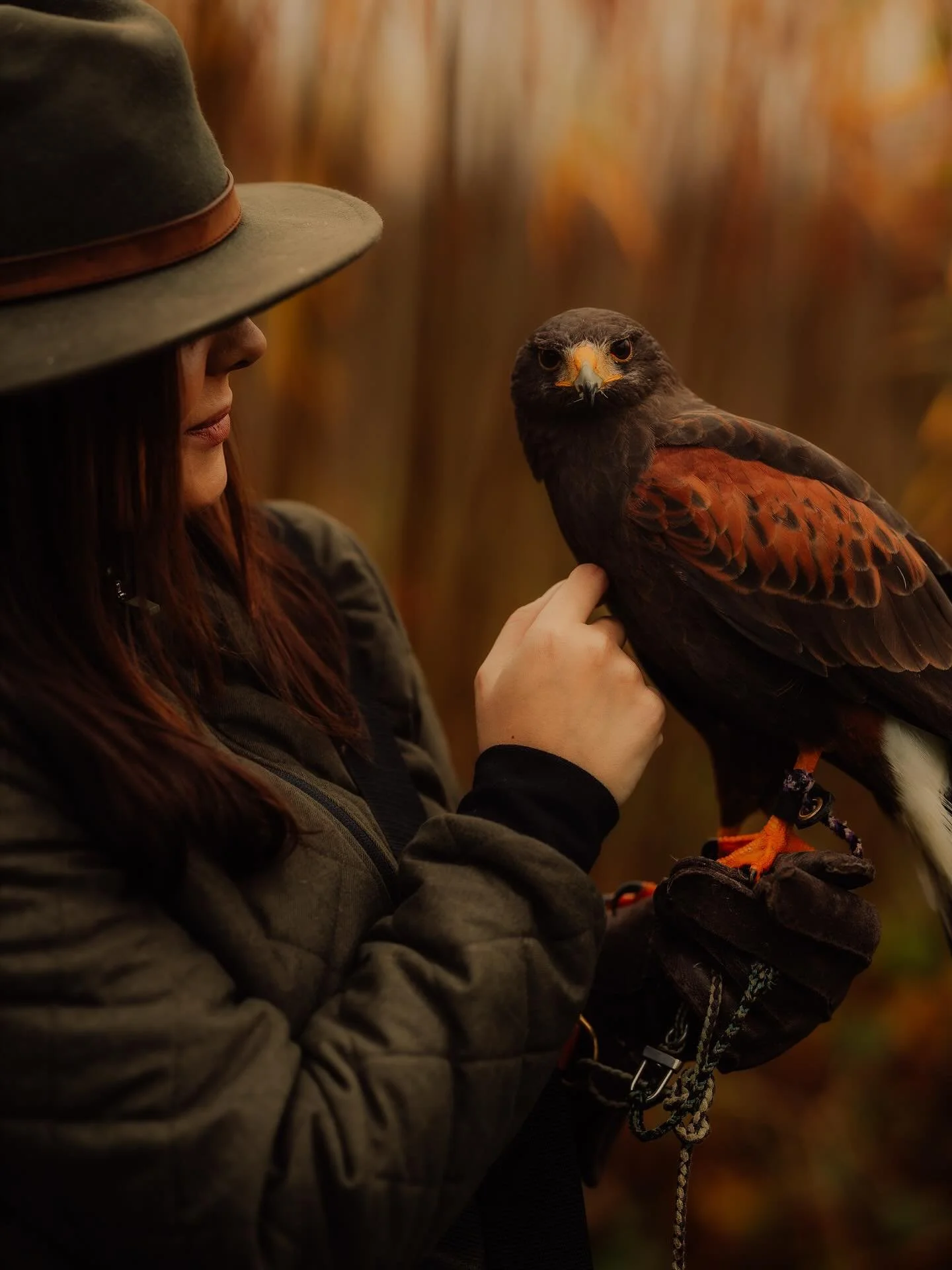 Let&rsquo;s just take a minute for the gorgeous Jordanna, who runs the Female Falconers Club.

Absolutely LOVED this session with Jordanna, her stunning birds Mr Chow and Goose, and her beautiful Lab, Rook.

Can&rsquo;t wait to head back and capture 