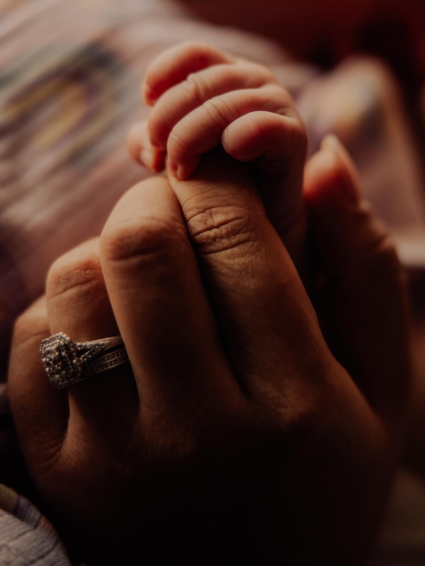 More Bump to Baby client pics for you, since you all seem to enjoy them! 🥰🥰 Or in this case Baby to Bump 🤣.

People who book both maternity and newborn sessions with me have such a special place in my heart. Just getting to be in these most life c