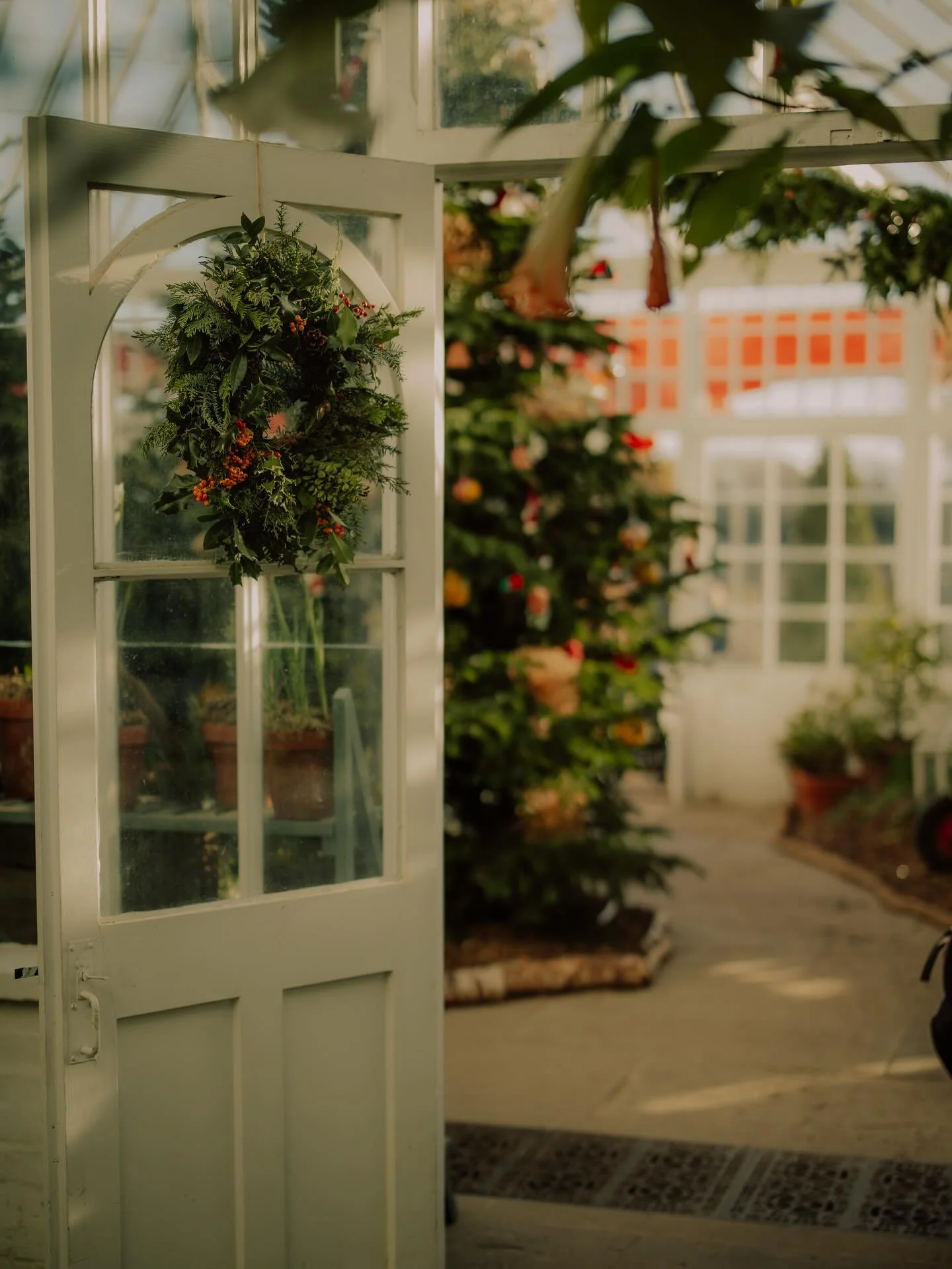 Christmas at Clumber Park 🎄✨

Glorious as always. I&rsquo;m just very sad that due to having the dog and 2 little ones with me, I didn&rsquo;t get chance to pop into the Apple Store too! (Watch this space!)

@wildinart @clumberparknt @ntmidlands 

#