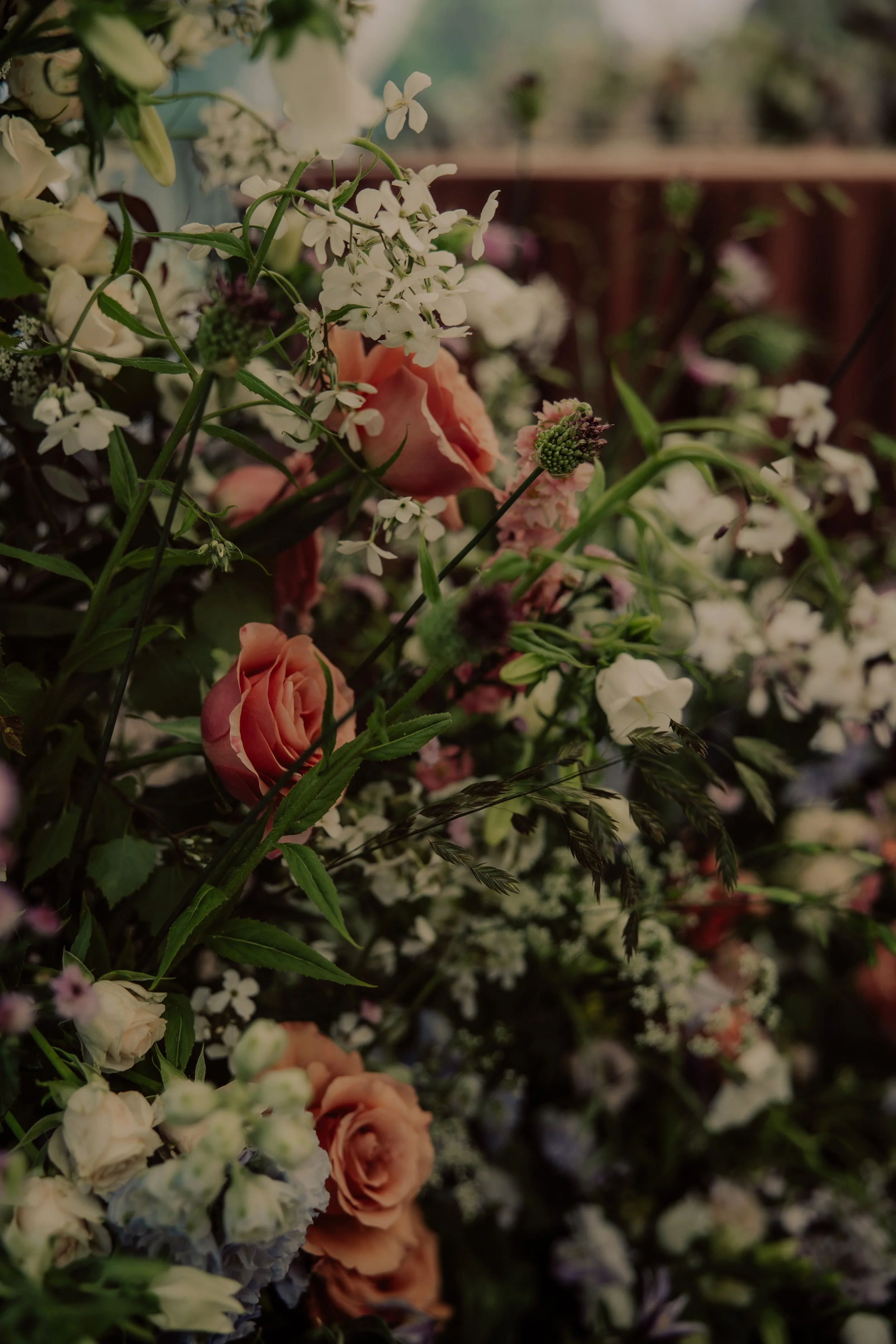 G44A7300-Edit.jpg