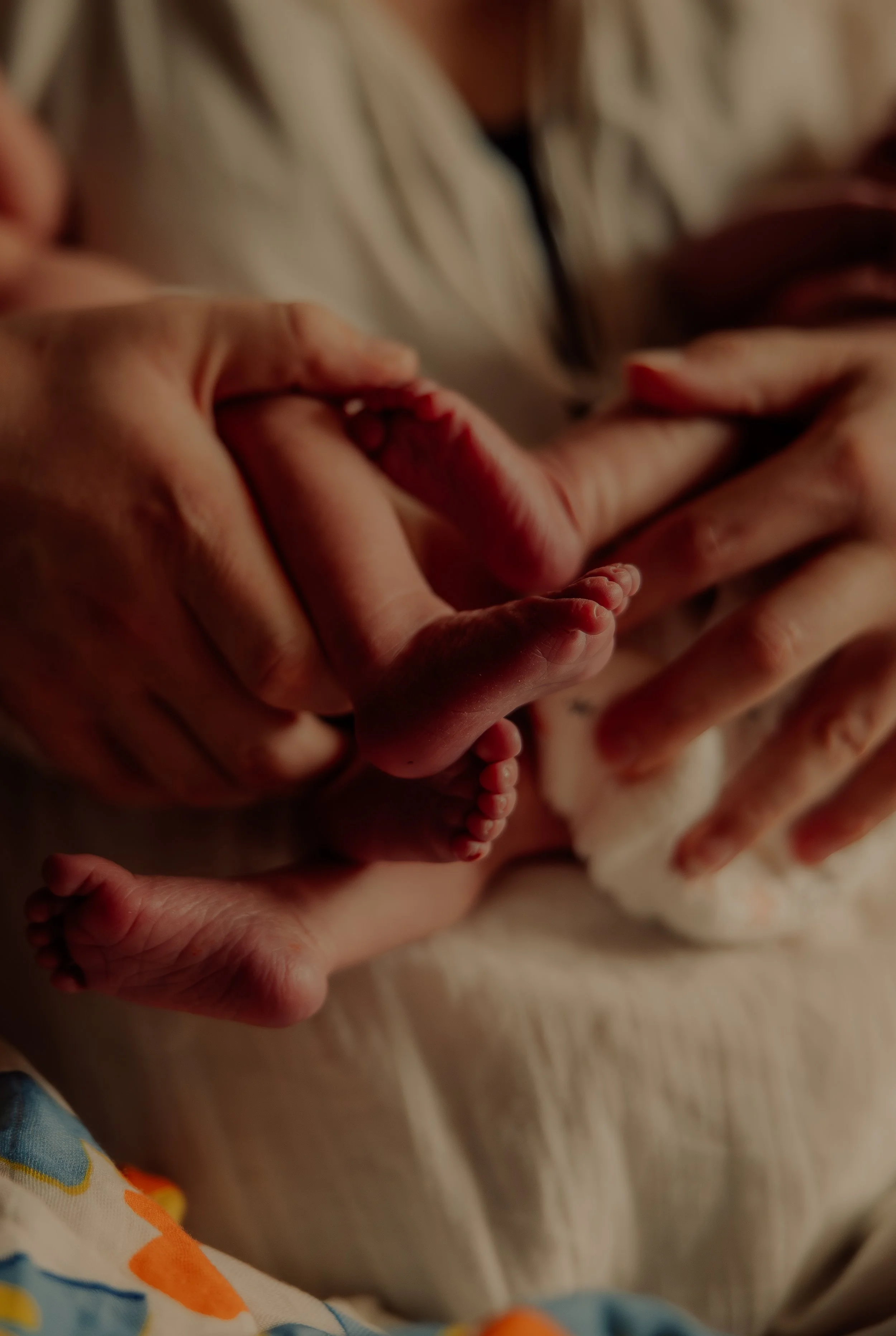 Newborn Photographer Nottingham