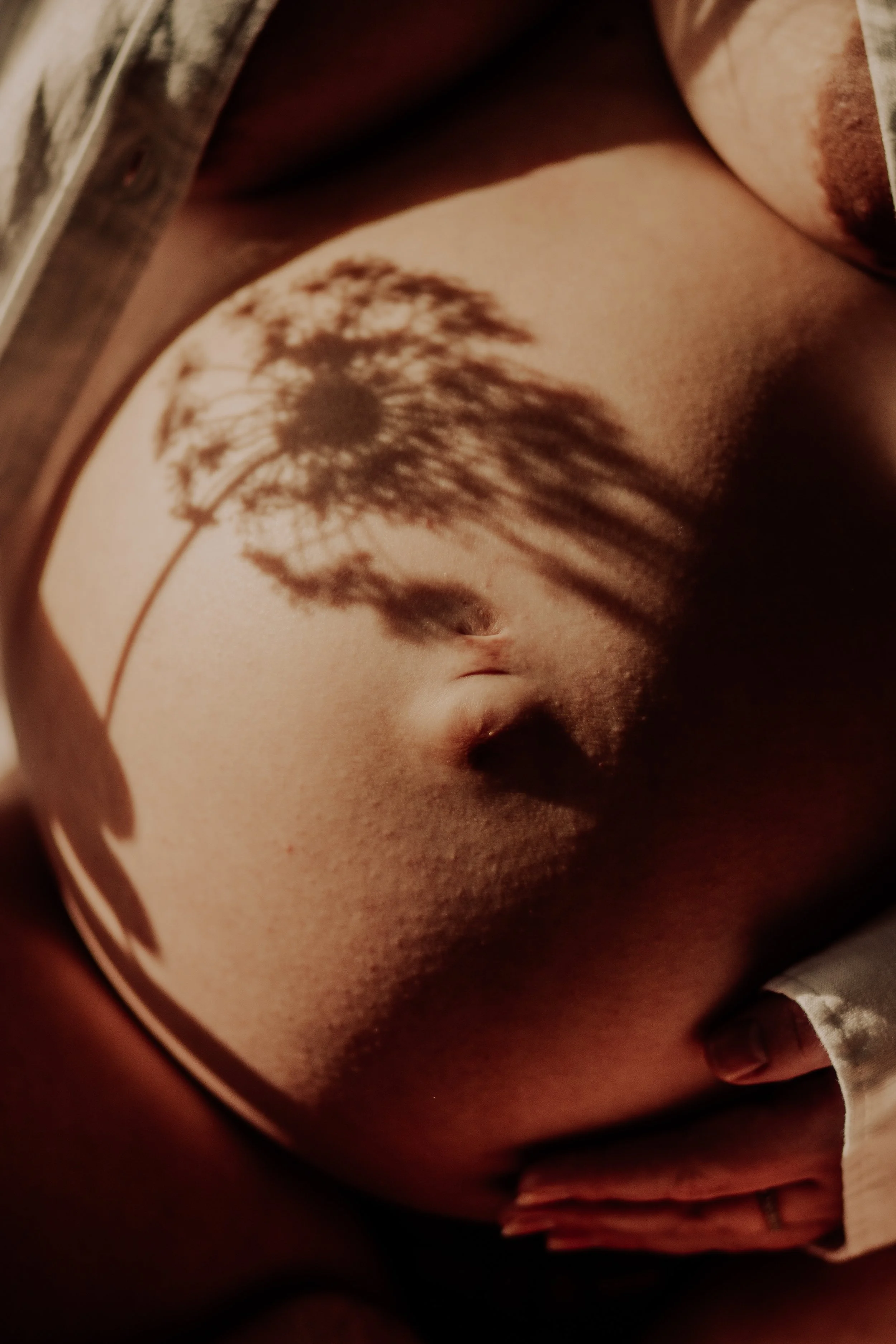 An intimate, home maternity session