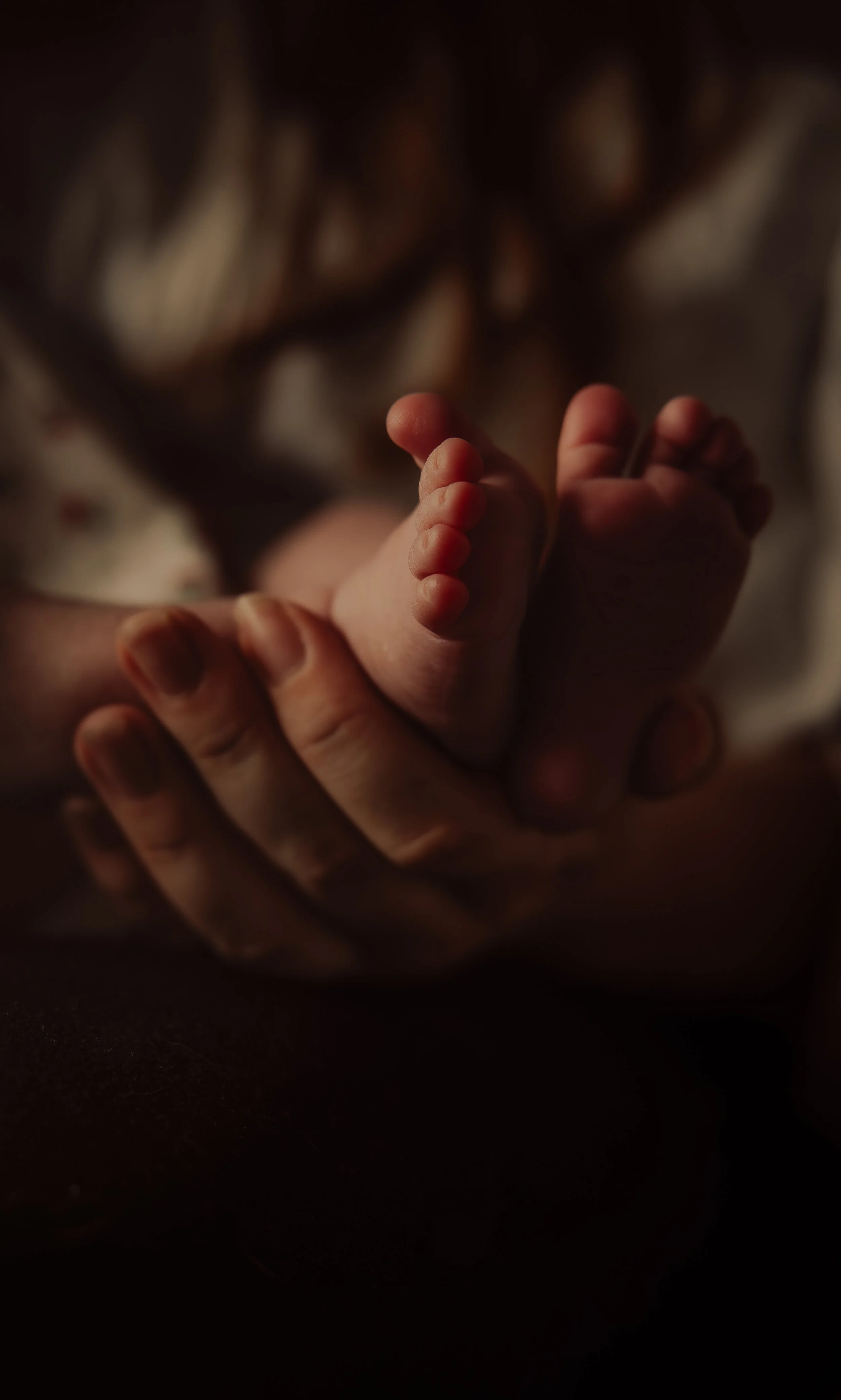 Newborn Photography Lincoln | Baby Poppy’s Heartwarming Session