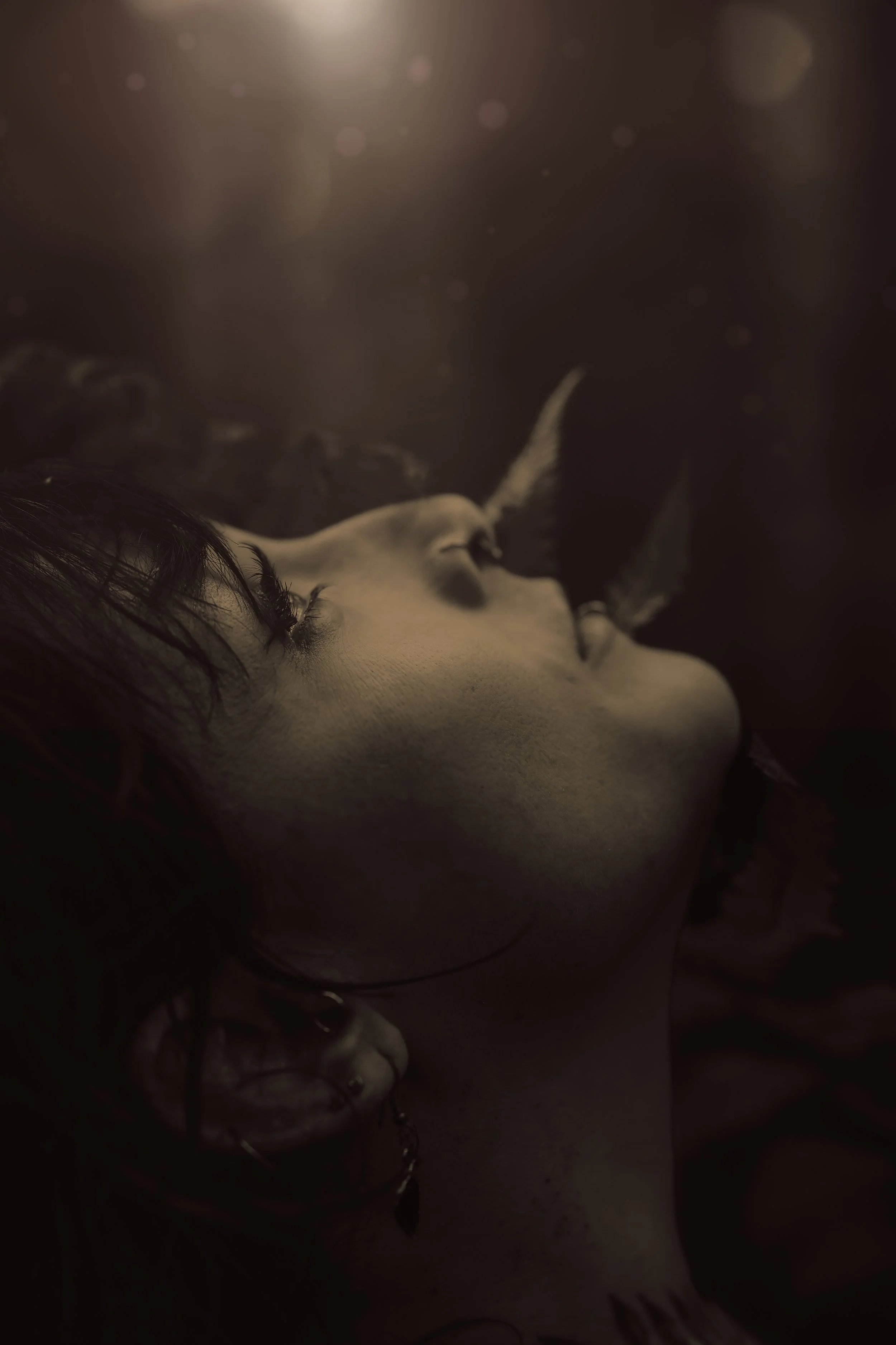 G44A4468-Edit.jpg