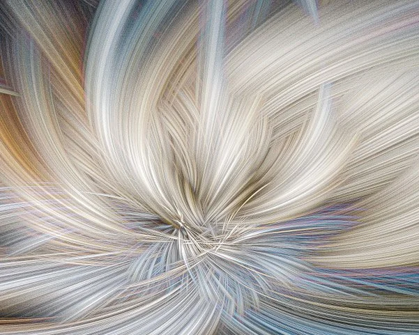 Fleur de brume _I3A9387 4 copie.jpeg