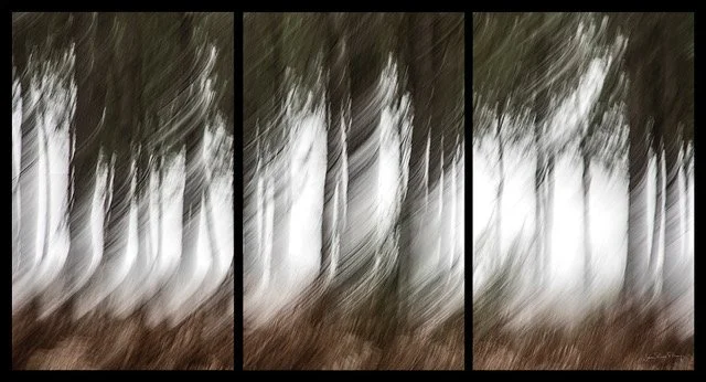 378A3020 Le tourbillon triptyque Signé.jpeg
