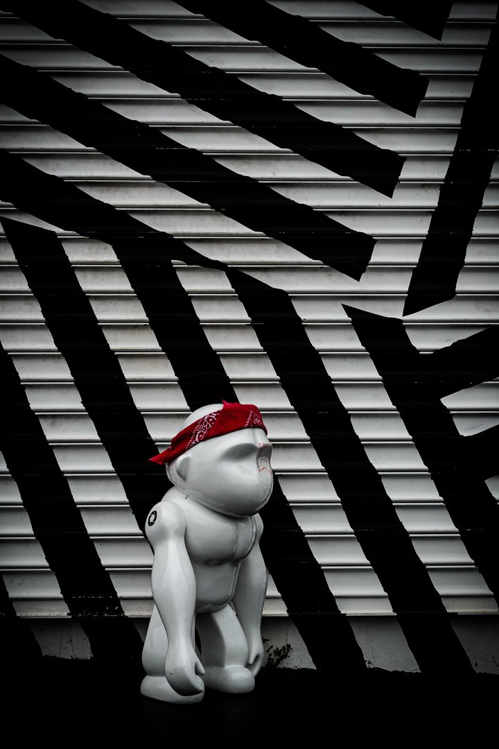Leo-Blanchard-Freedom-Monkey-2017-3.jpg