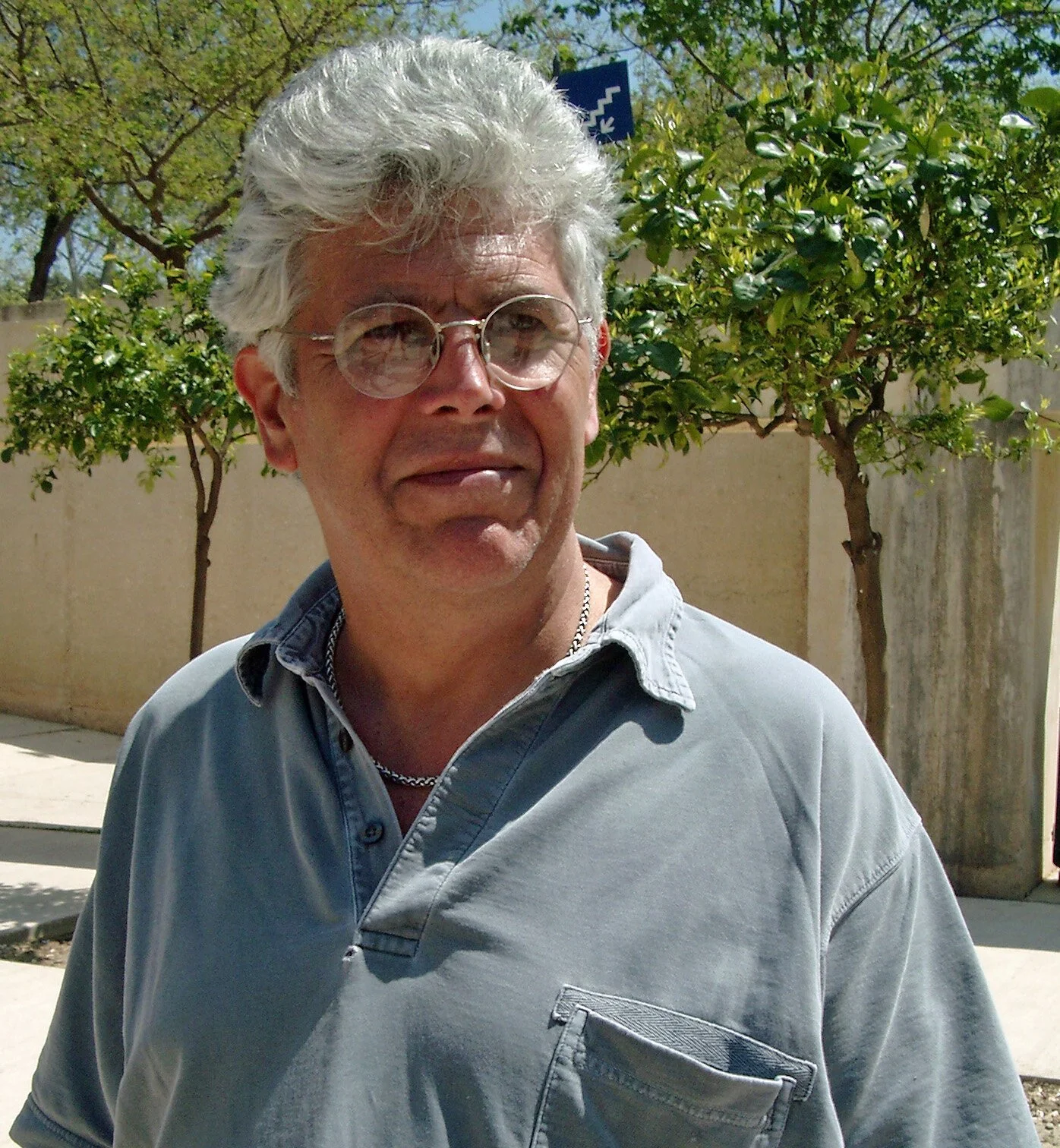 A middle-aged man with wavy white hair and round glasses standing outdoors on a sunny day, wearing a light gray shirt and a silver chain necklace, with green trees and a concrete wall in the background.