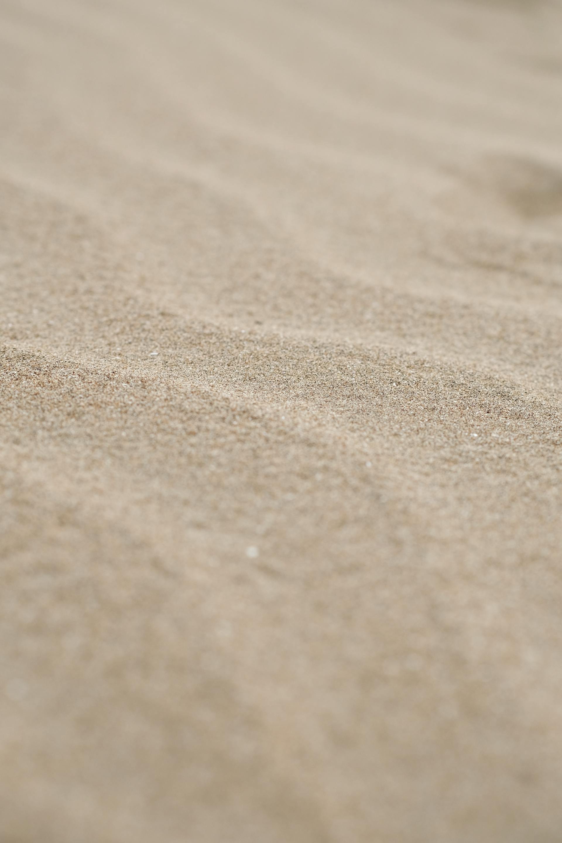 Close-up of natural coastal sand texture