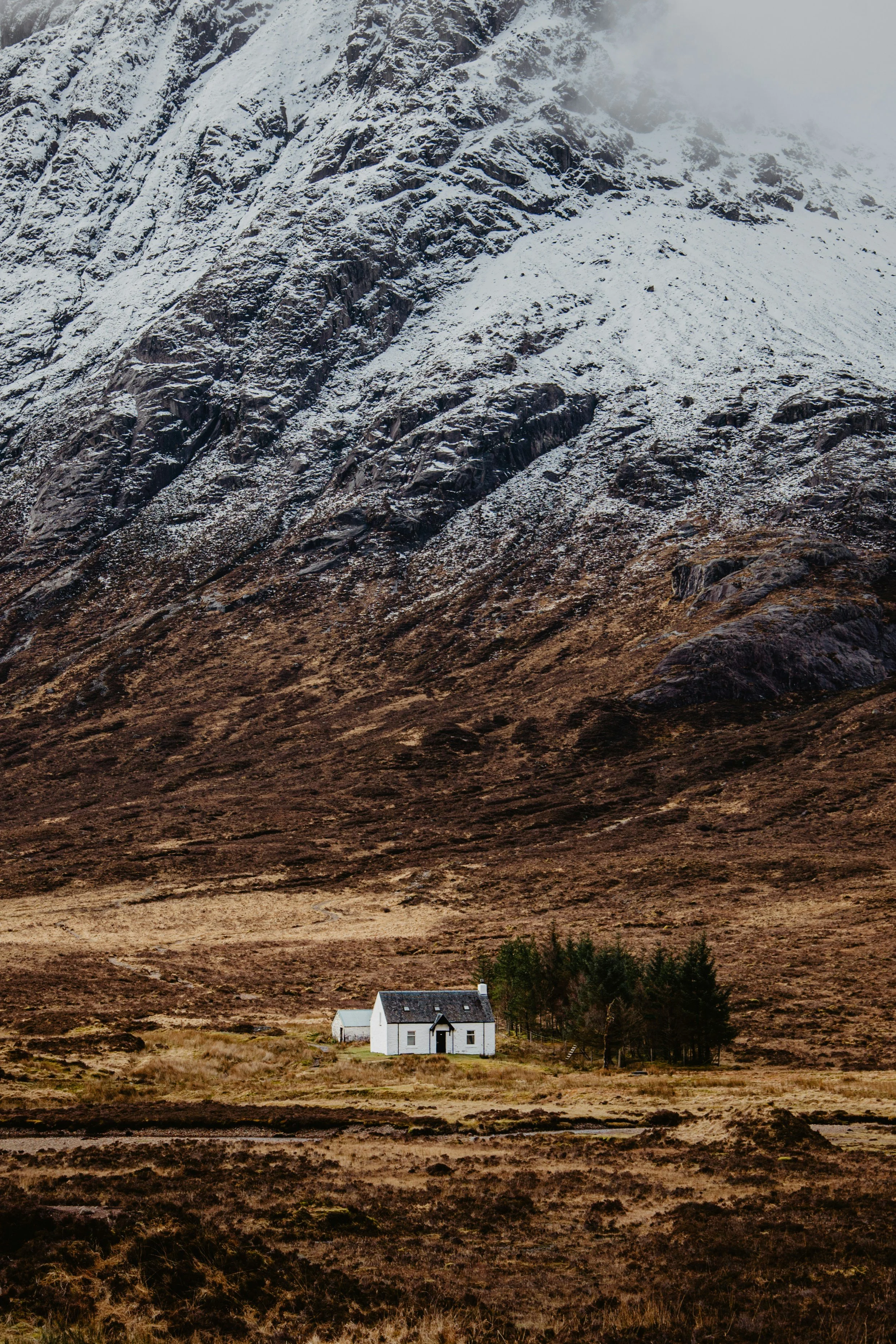 A solitary white house with a dark roof situated in a remote, mountainous landscape with snow-capped peaks in the background and a small cluster of trees nearby.