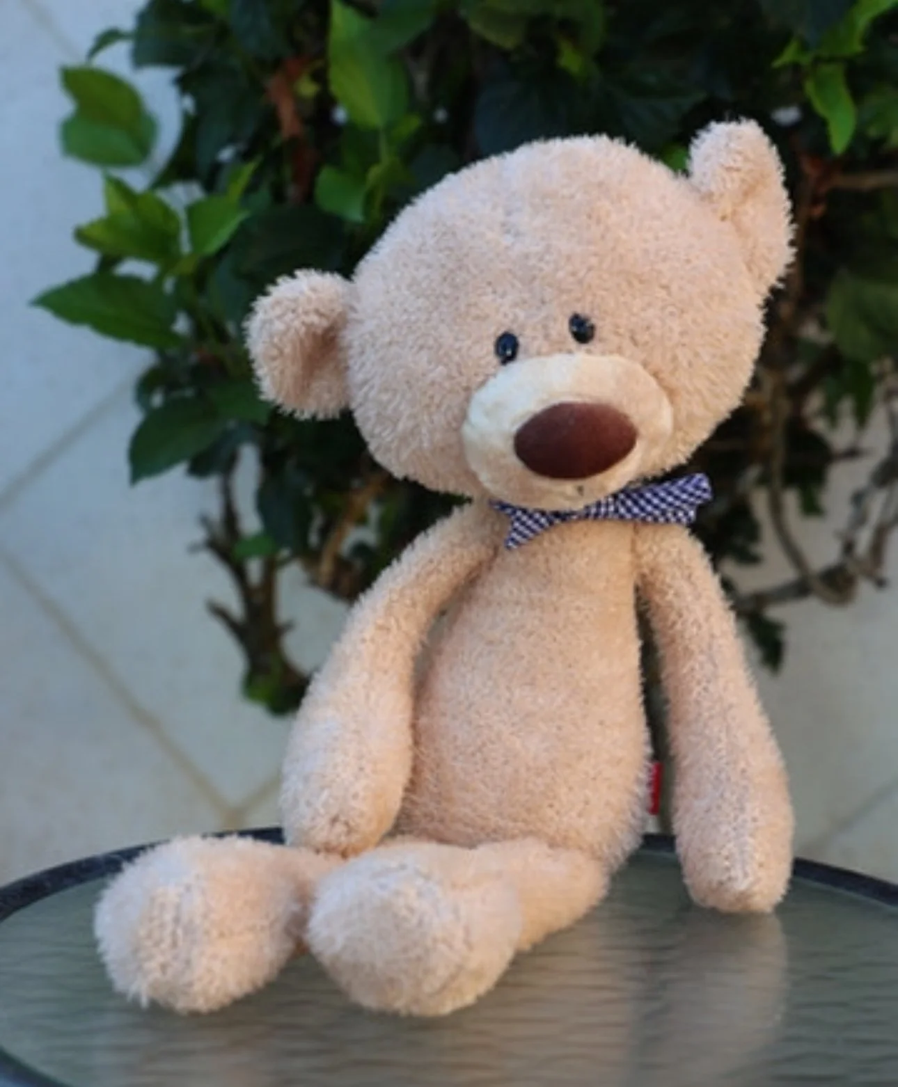 Benny bear with a dark brown nose and black eyes, wearing a blue checkered bow tie, sitting on a flat surface in front of green shrubbery.