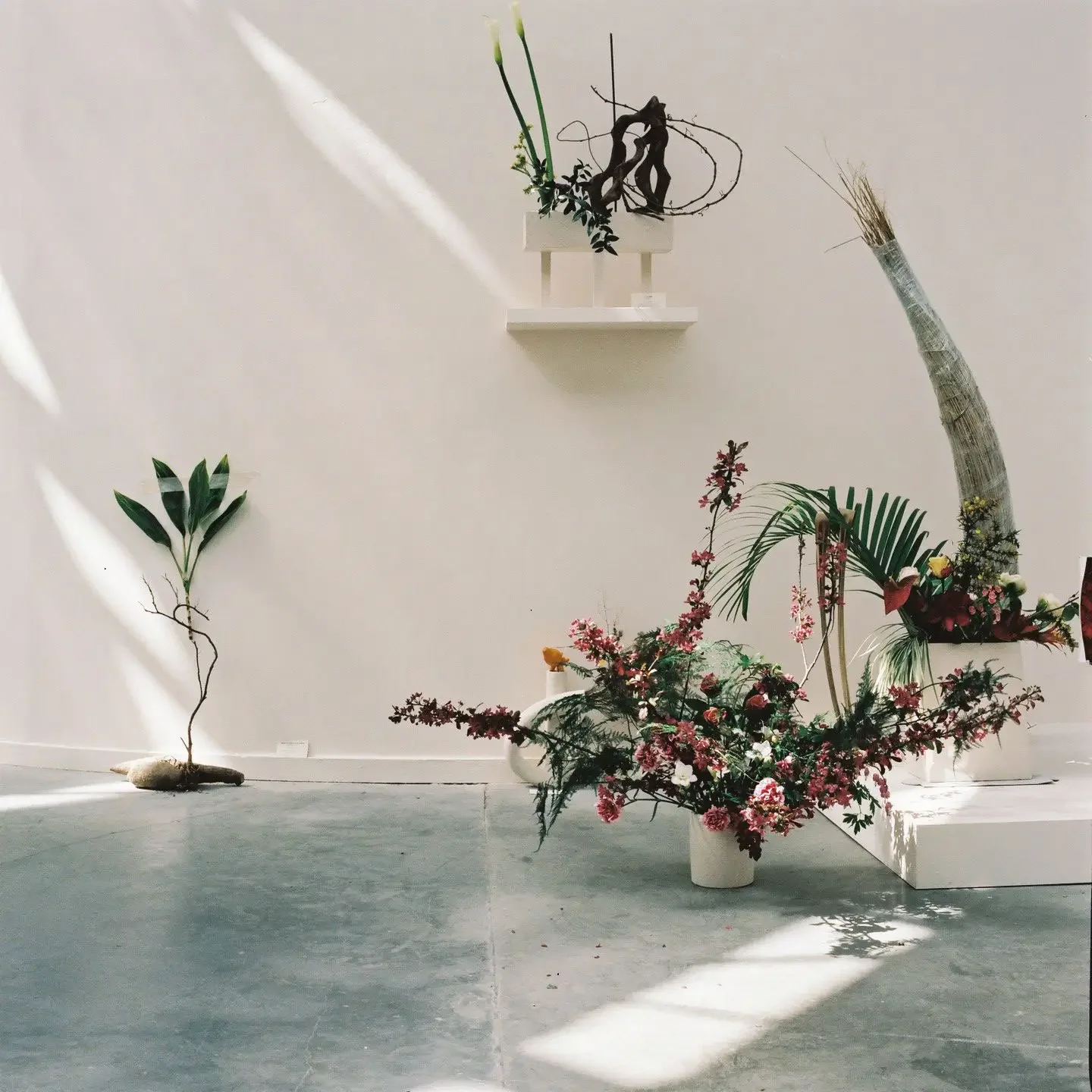 Geneva_Art_Week-Exhibition_2025-Halle_Nord-Defiant_Gardens-Additional-02.webp