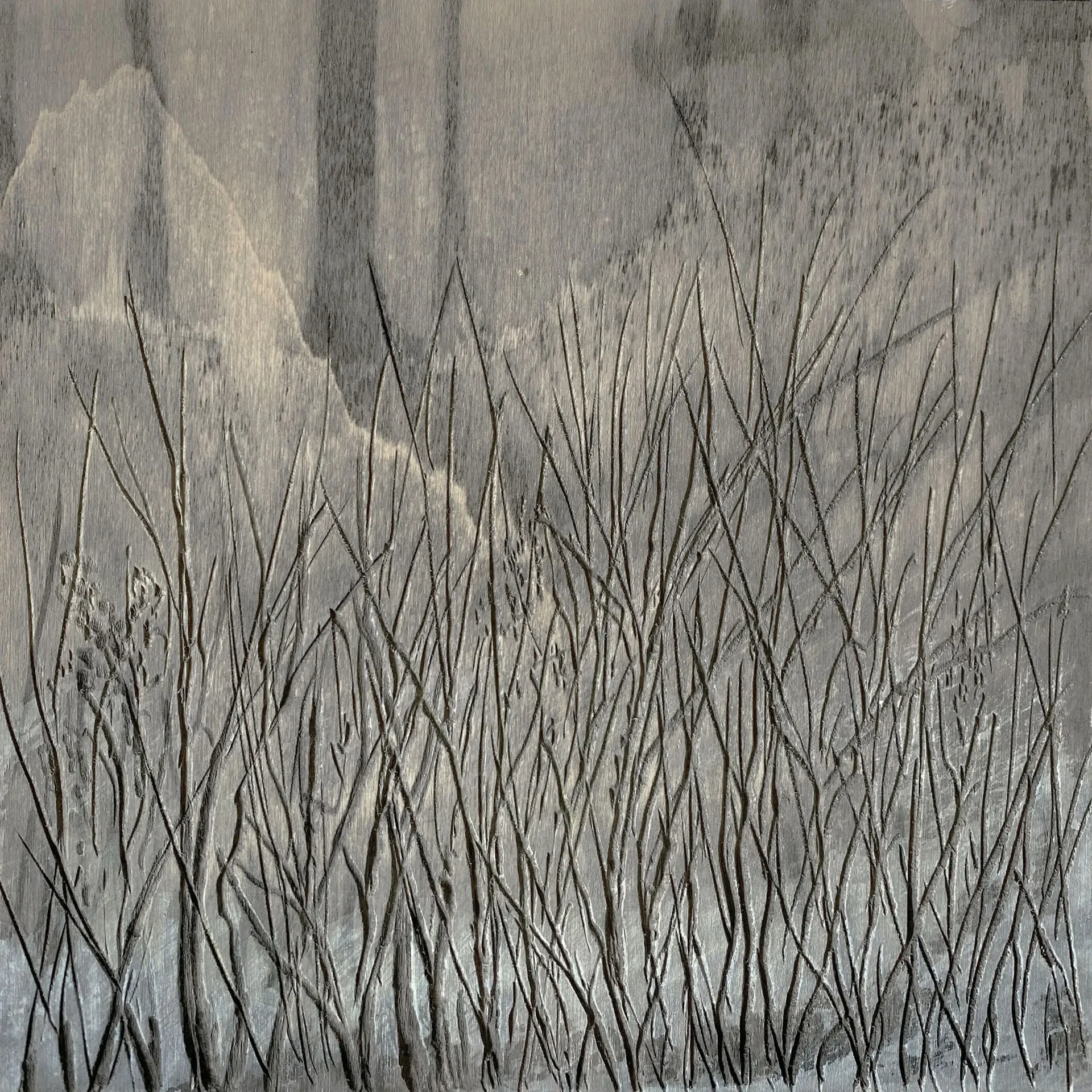 Geneva_Art_Week-Exhibition_2025-Galerie_Series_Rares-Chemin_vegetal-Additional-07.webp