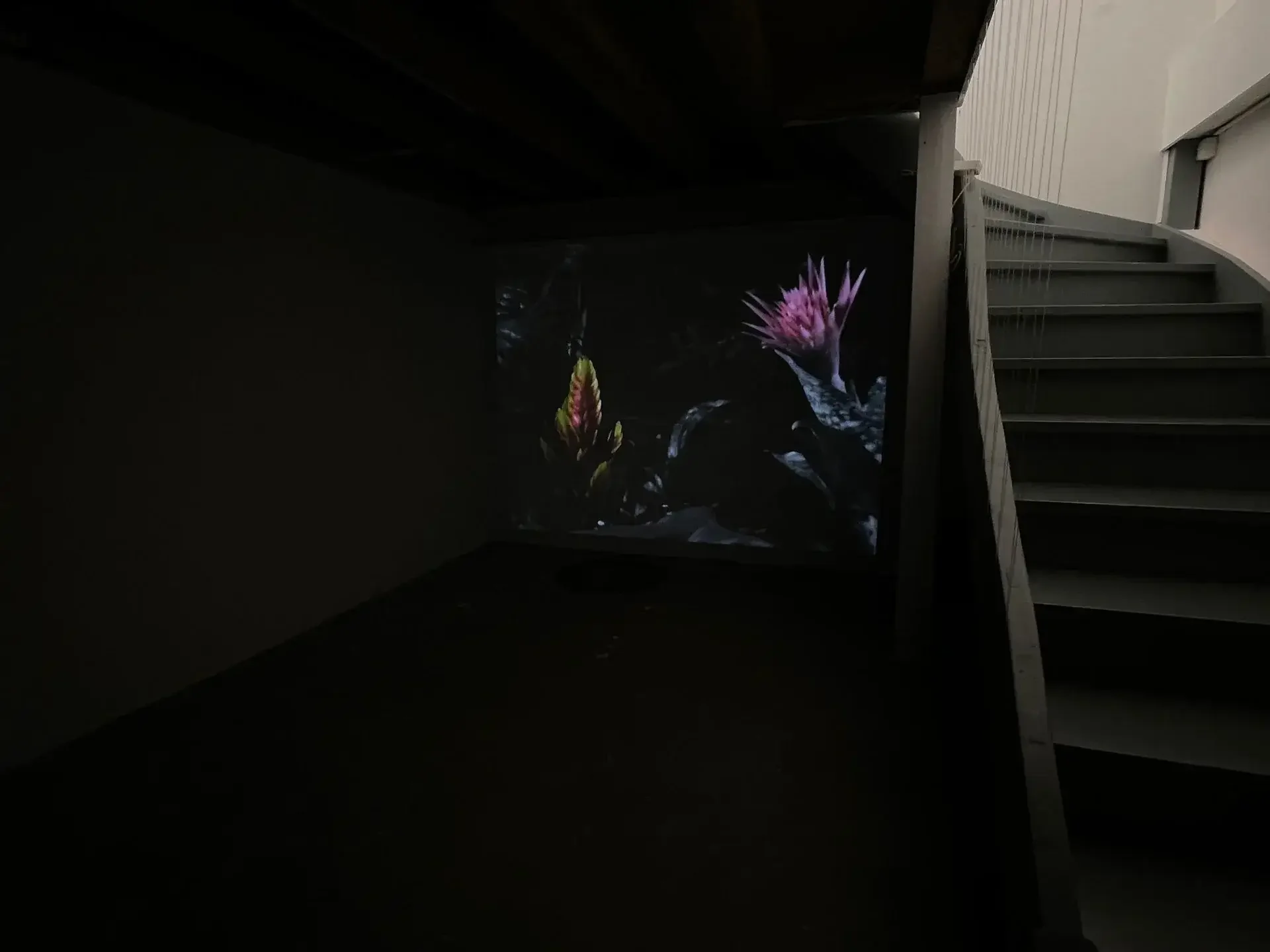 Geneva_Art_Week-Members-Le_Labo-Additional_Image-002.webp