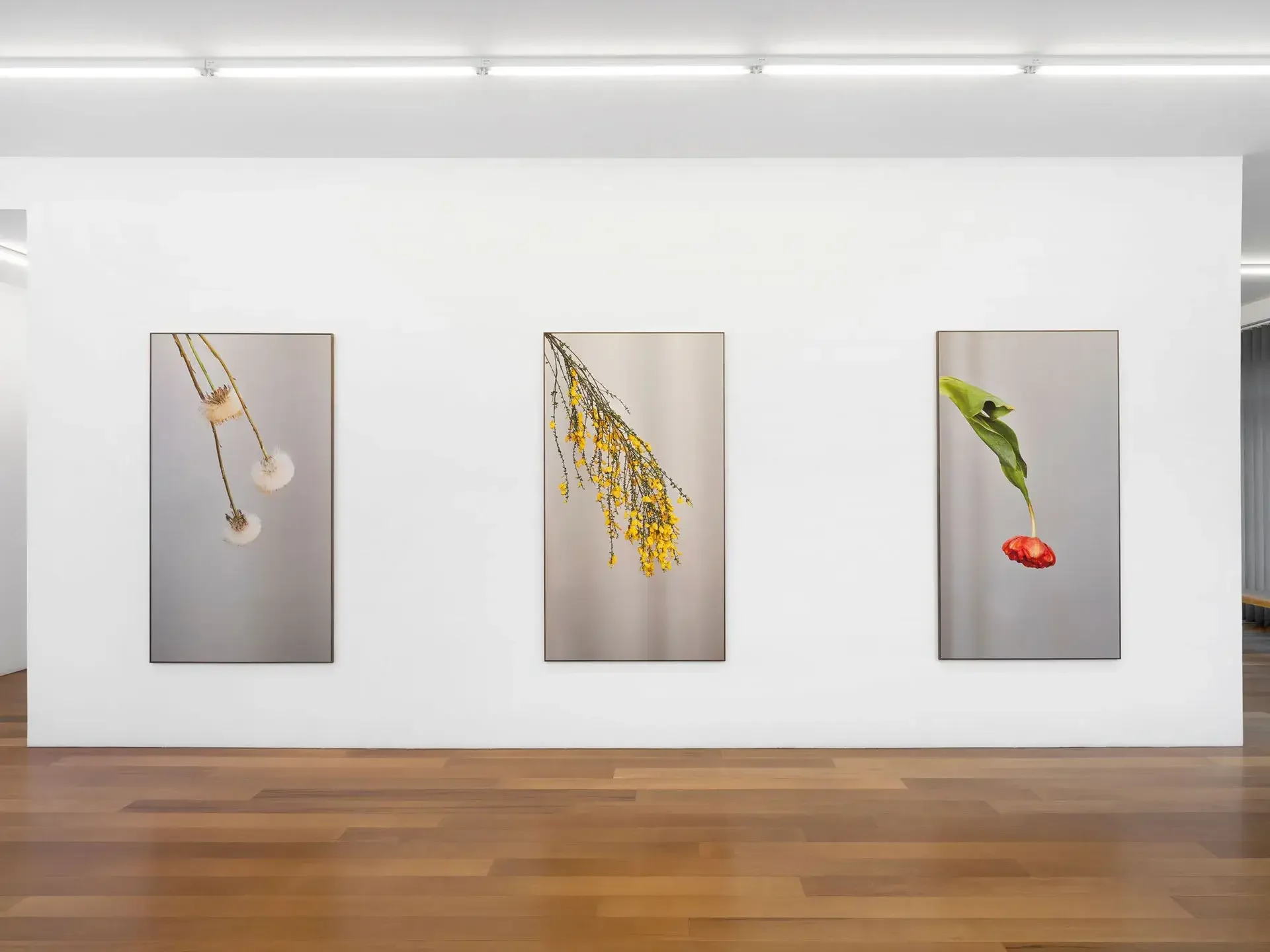 Geneva_Art_Week-Members-Xippas-Additional_Image-007.webp