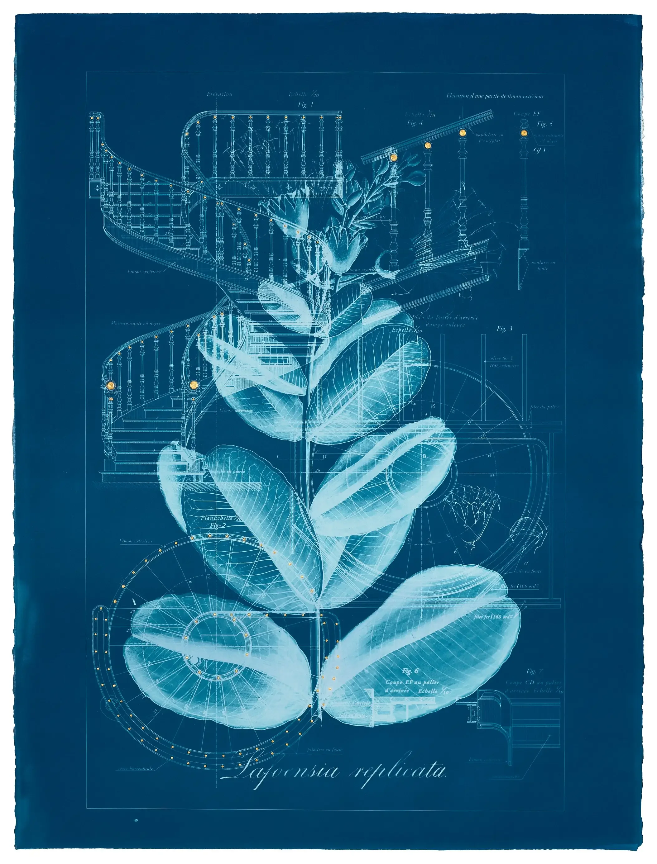 Geneva_Art_Week-Exhibition_2026-espaceL-Flora_Icognita-Gallery-01.webp