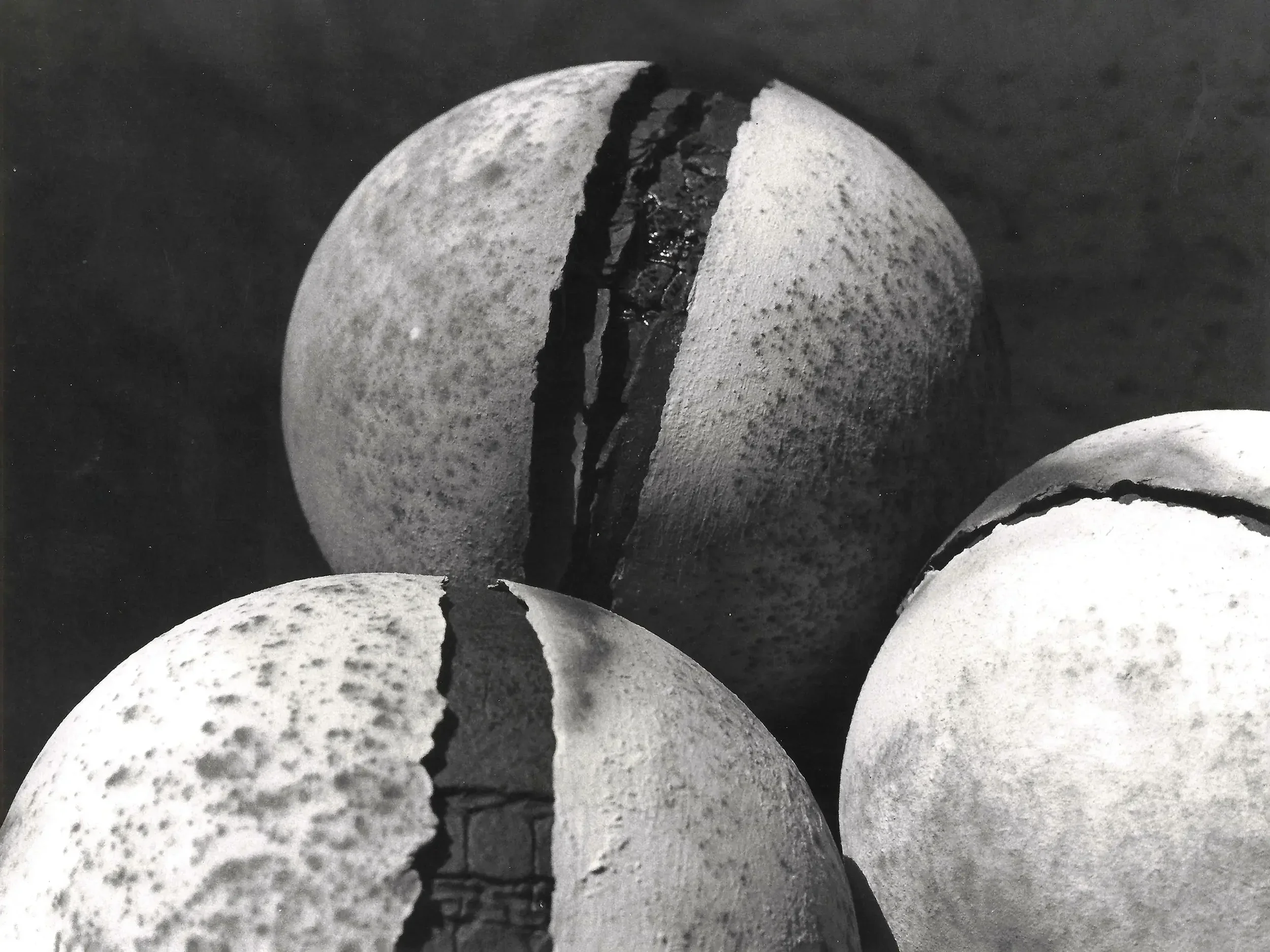 Marianne Brand