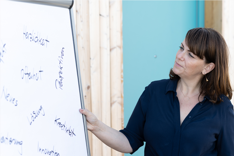 Praxistage systemisches Coaching