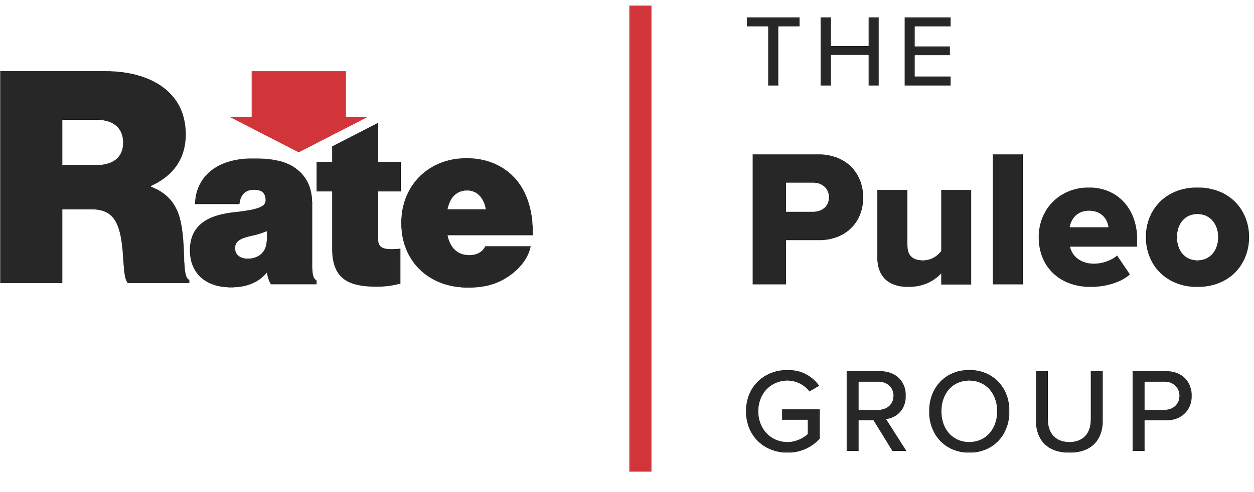 The Puleo Group